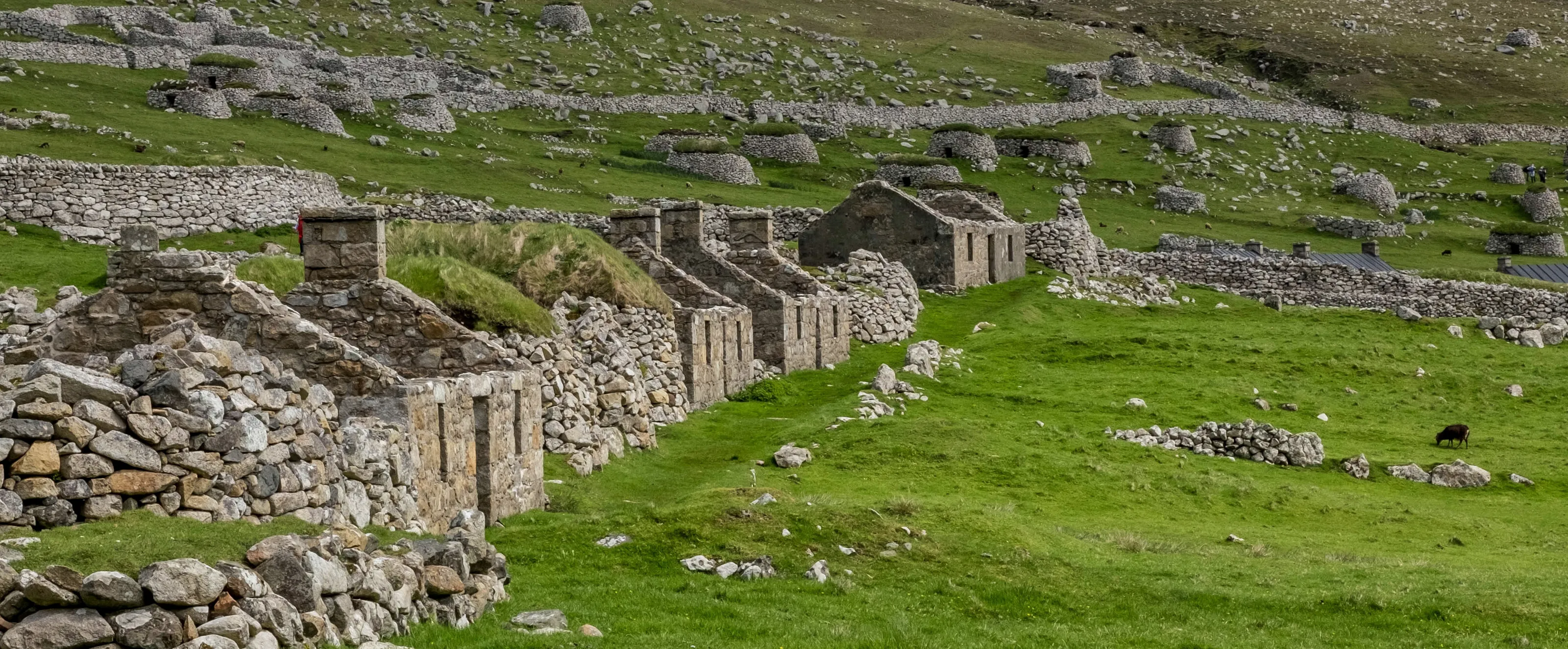 Buildings with No Roof