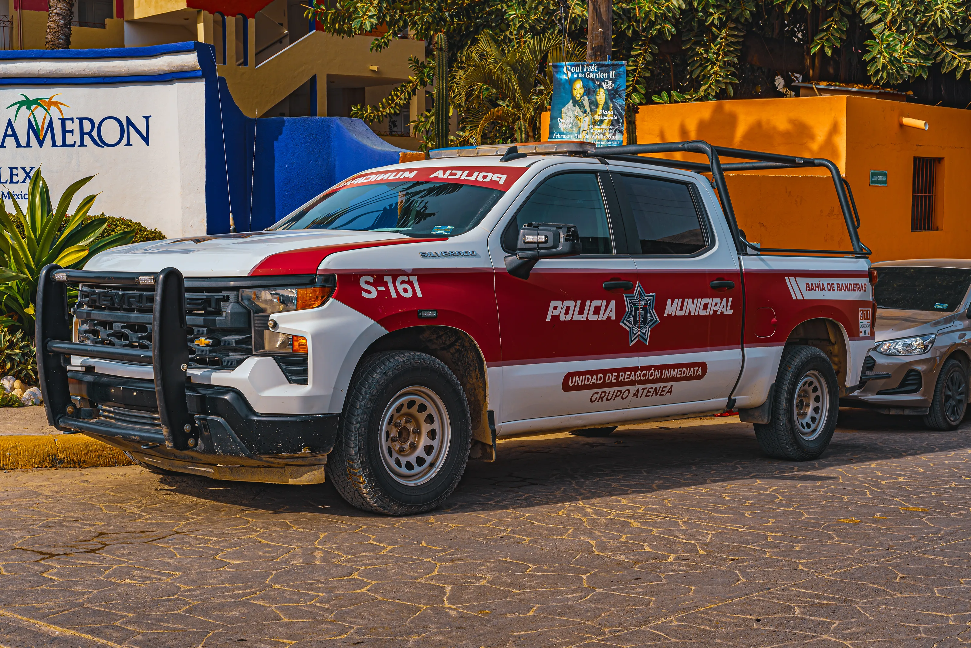 Police Cars (in colour)