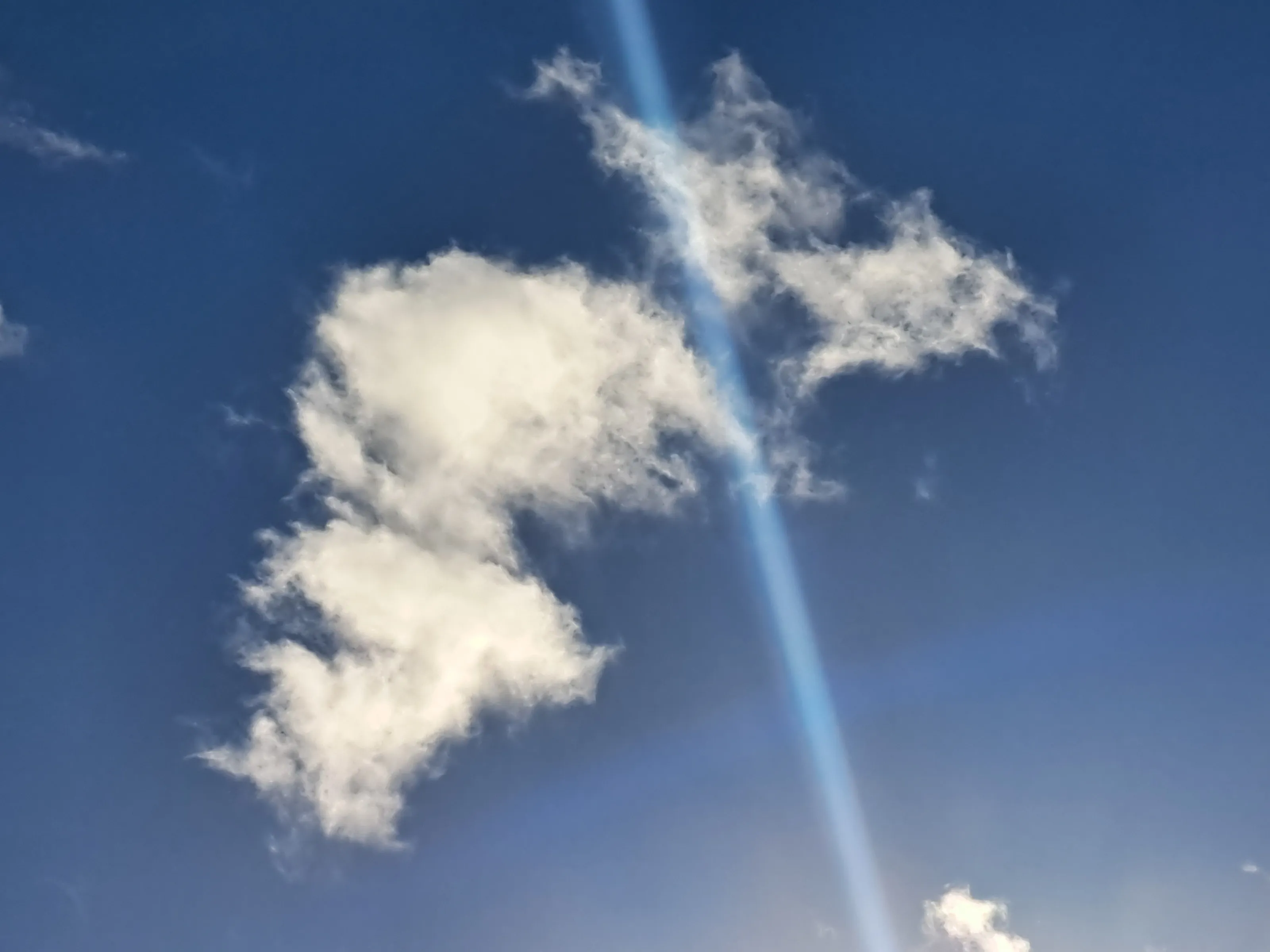 Against a Blue Sky (in colour)