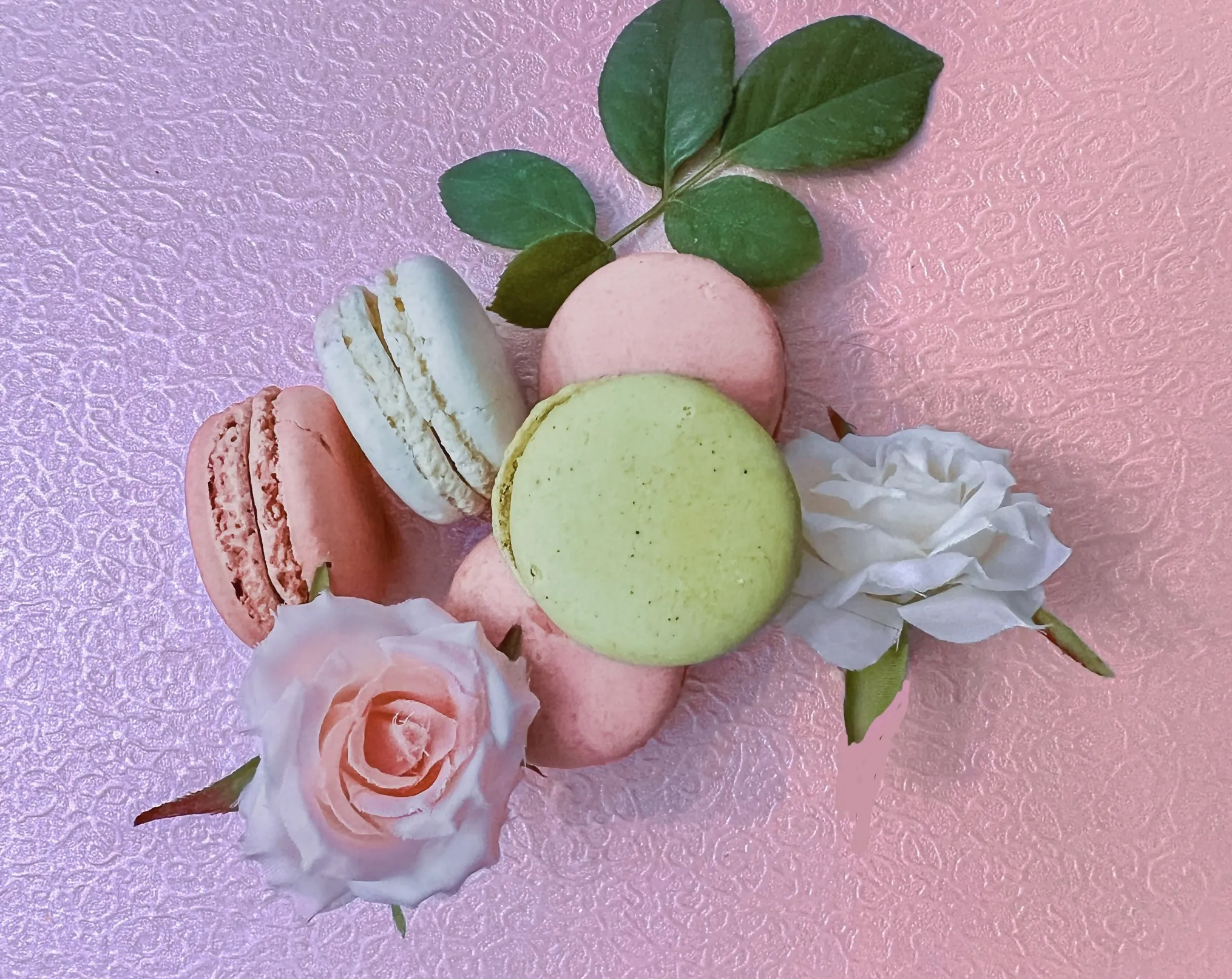 Macarons (in colour)