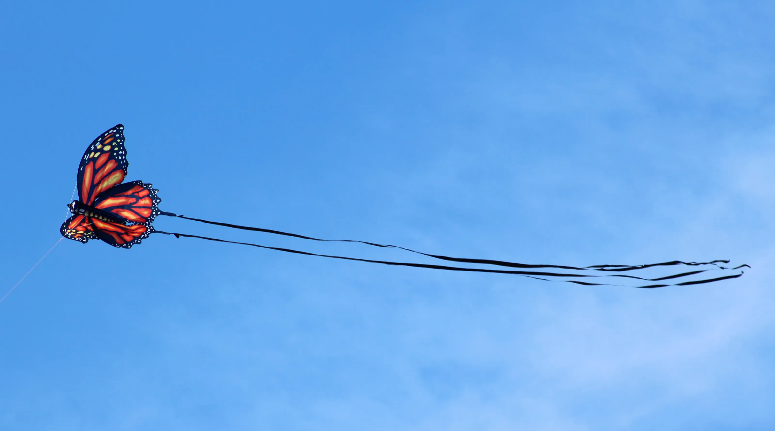 Kites Being Flown in the Sky