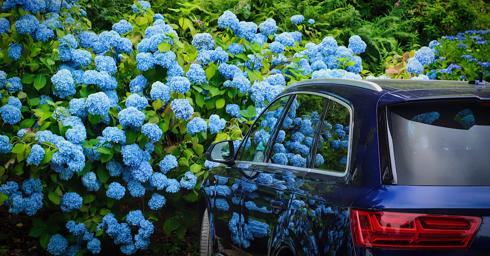 Beautifully Blue