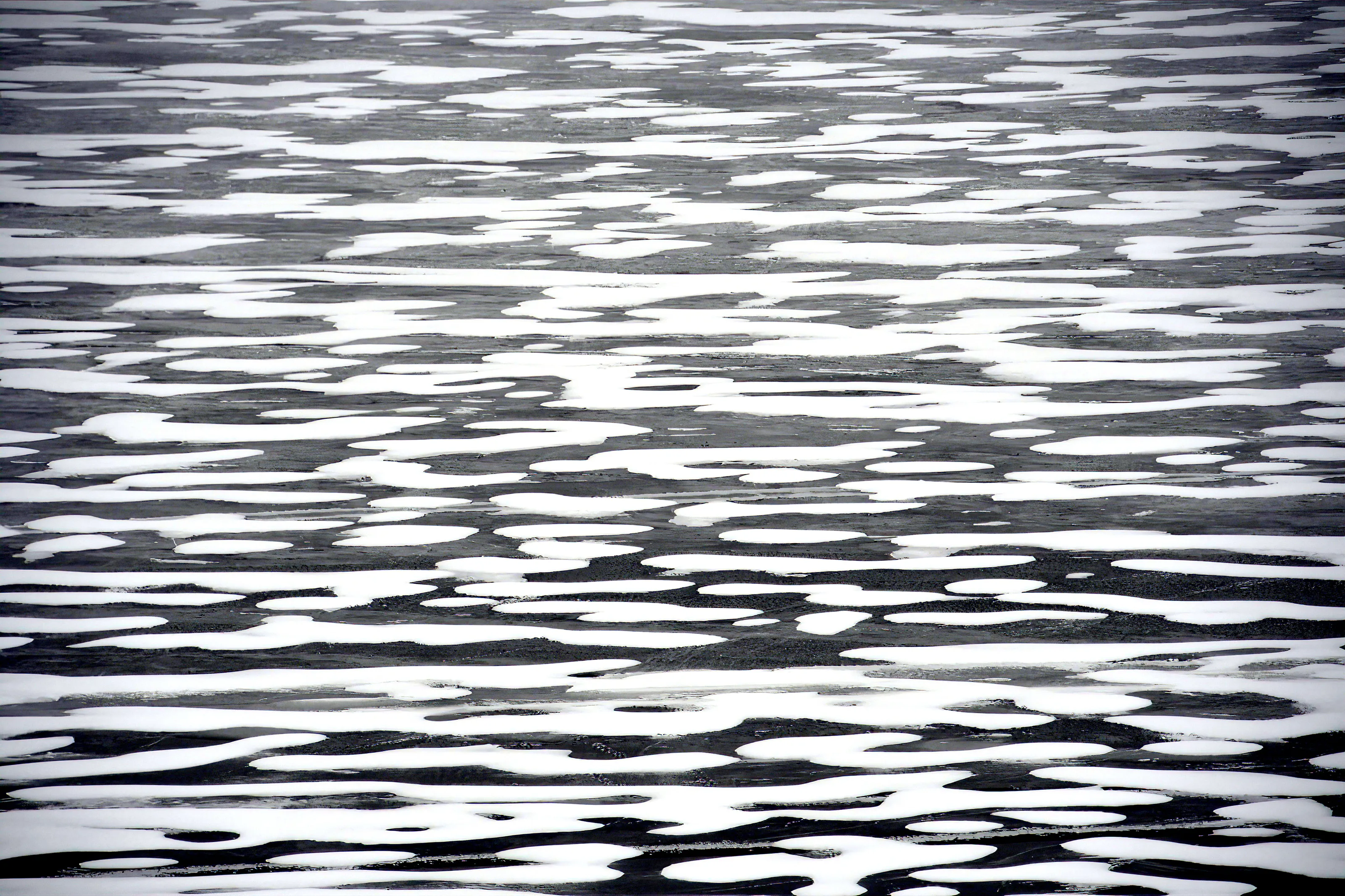 Nature's Abstracts
