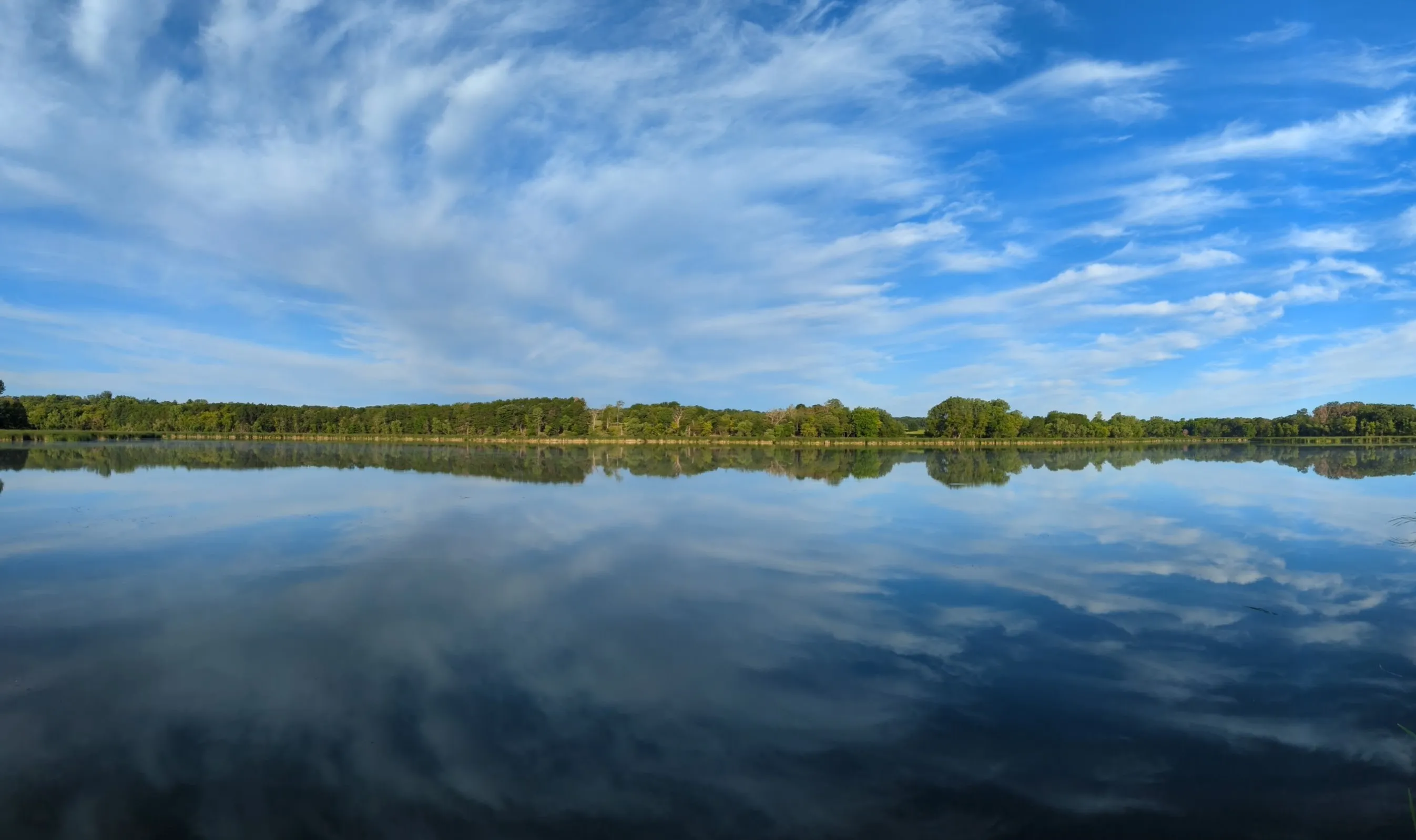 Scenes of Nature in Both Blue and Green