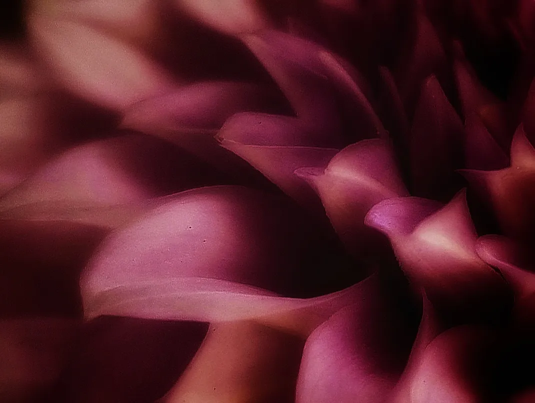 Just One Colour (in colour)