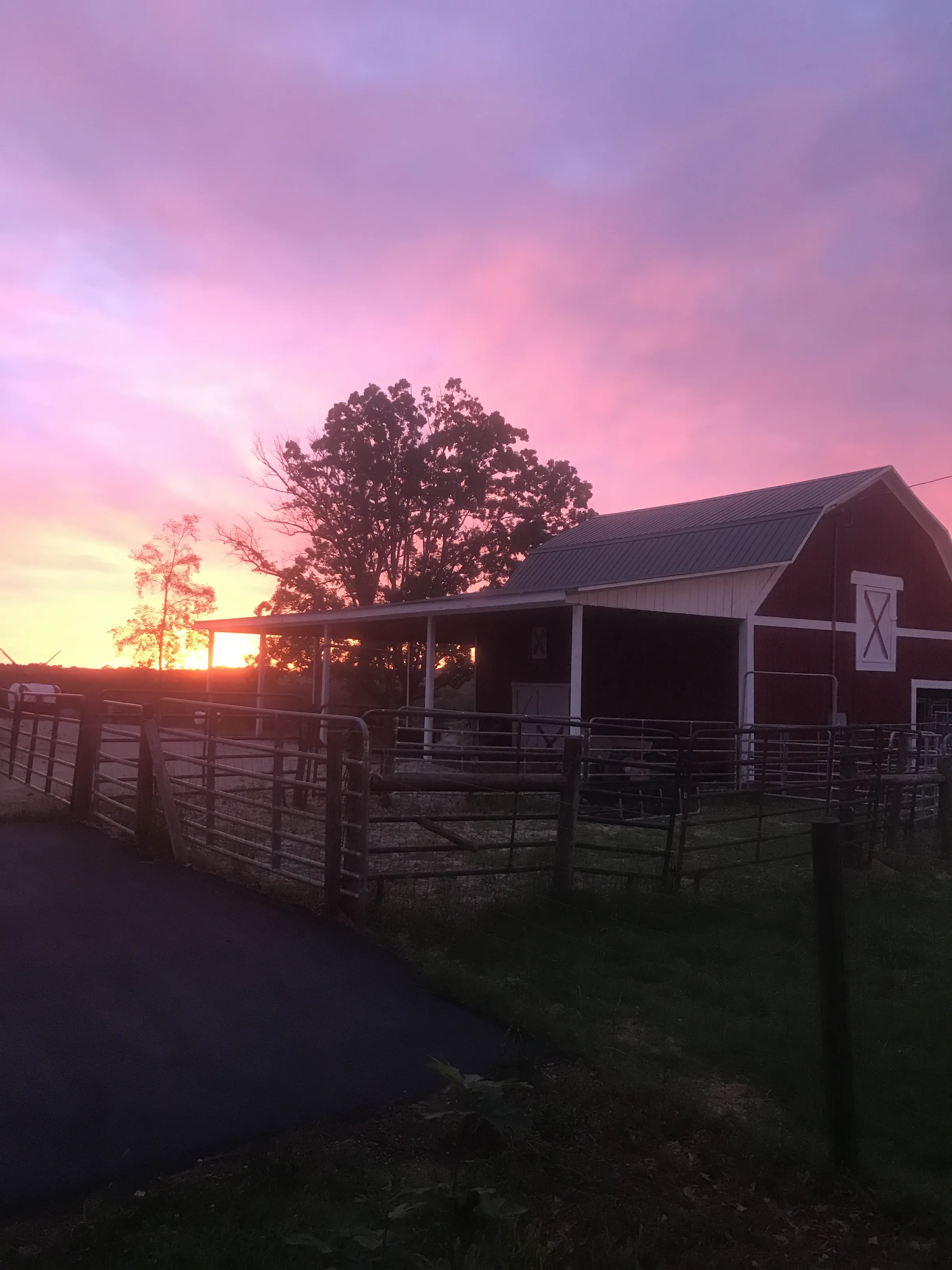Barns