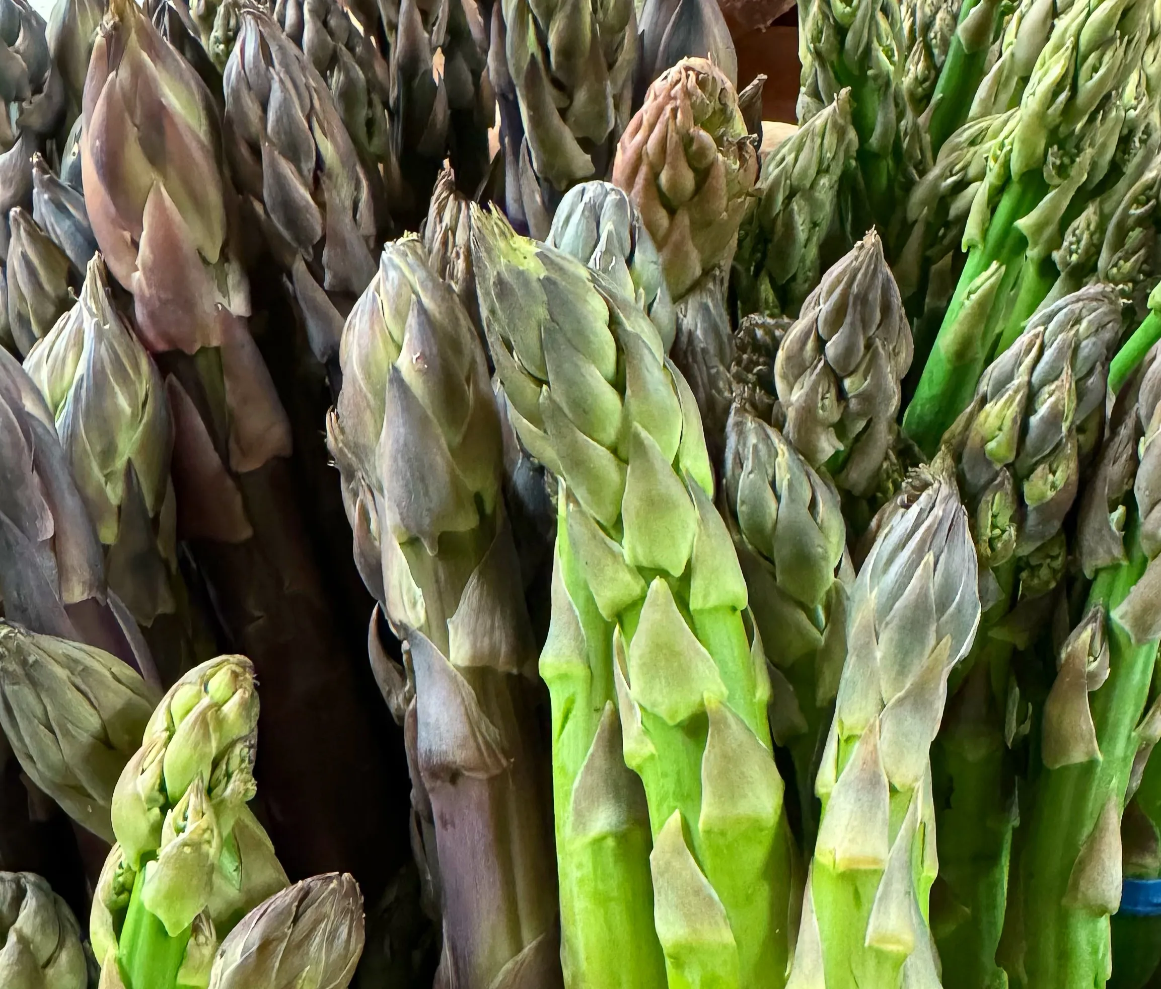 Green in Close-up (in colour)