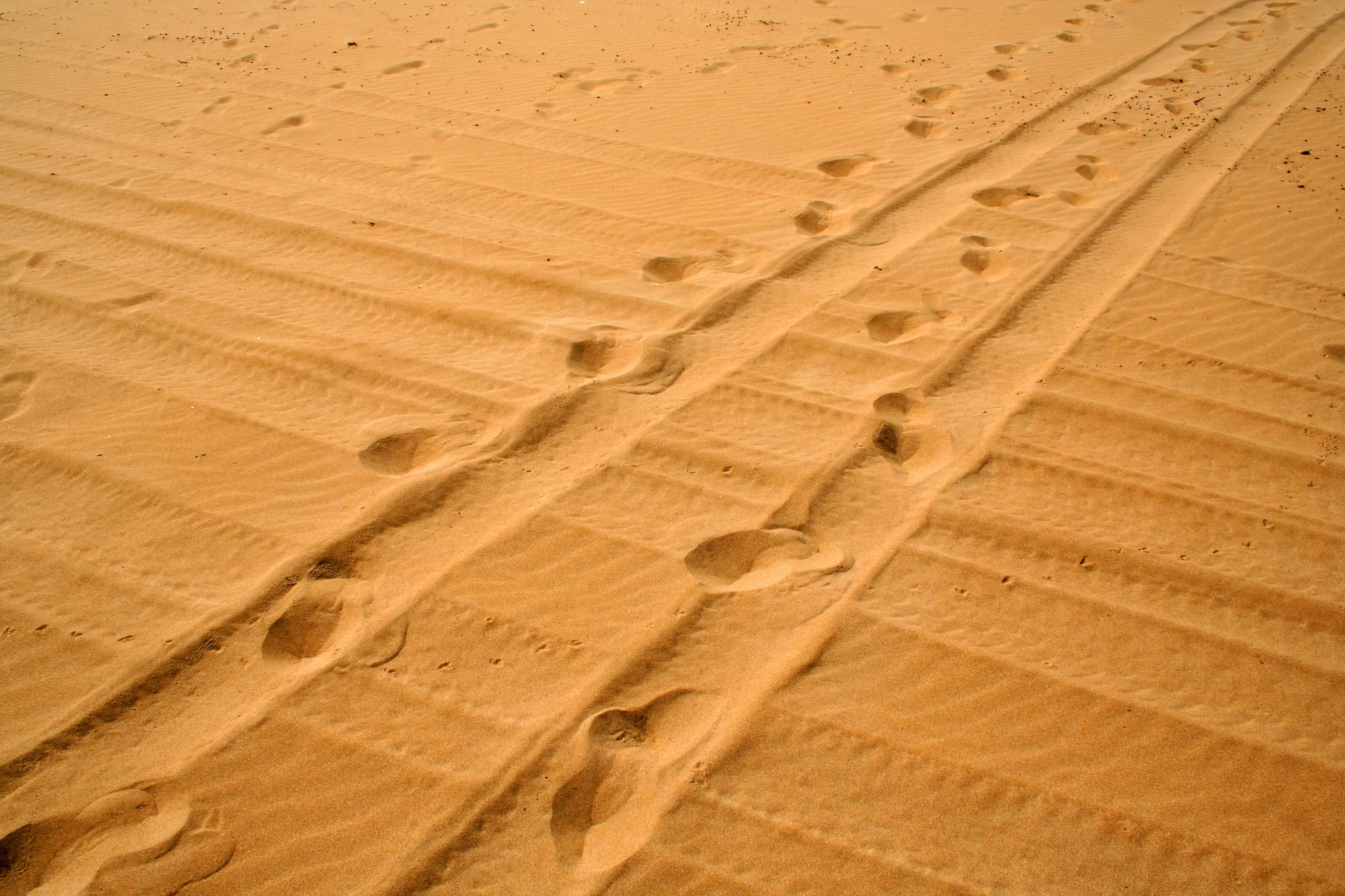 Traces, Prints or Impressions Left on a Surface