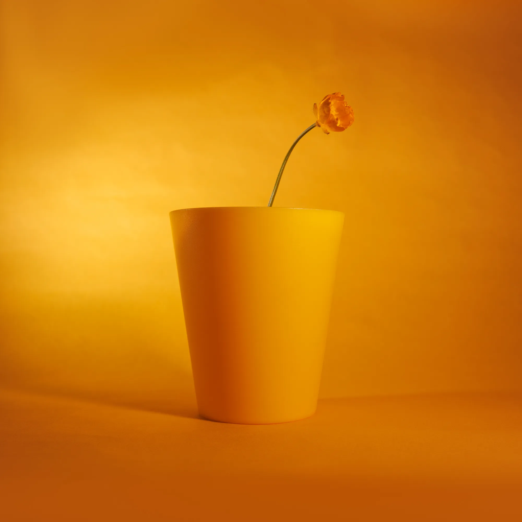 Yellow and Orange