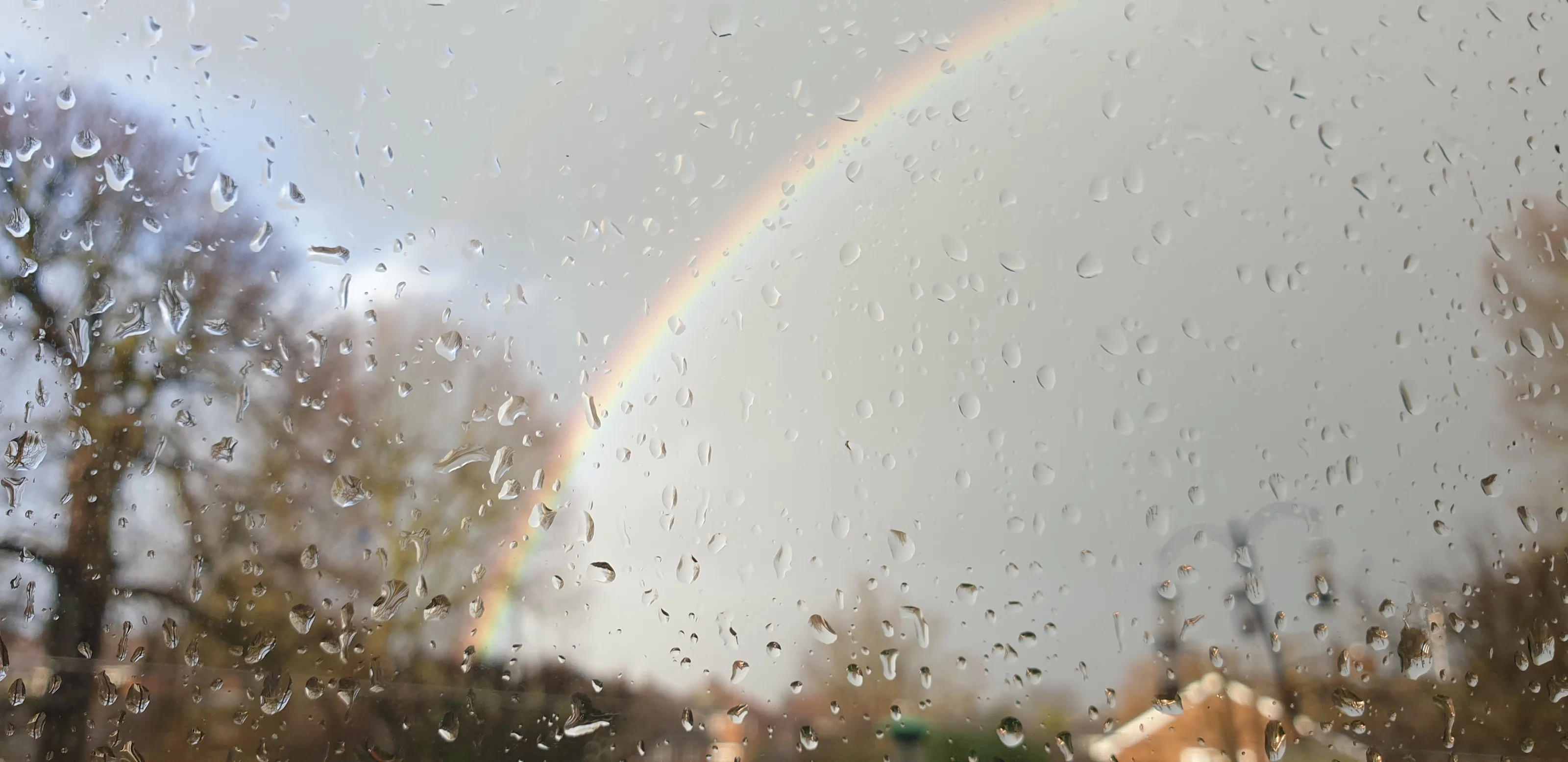 It's Raining