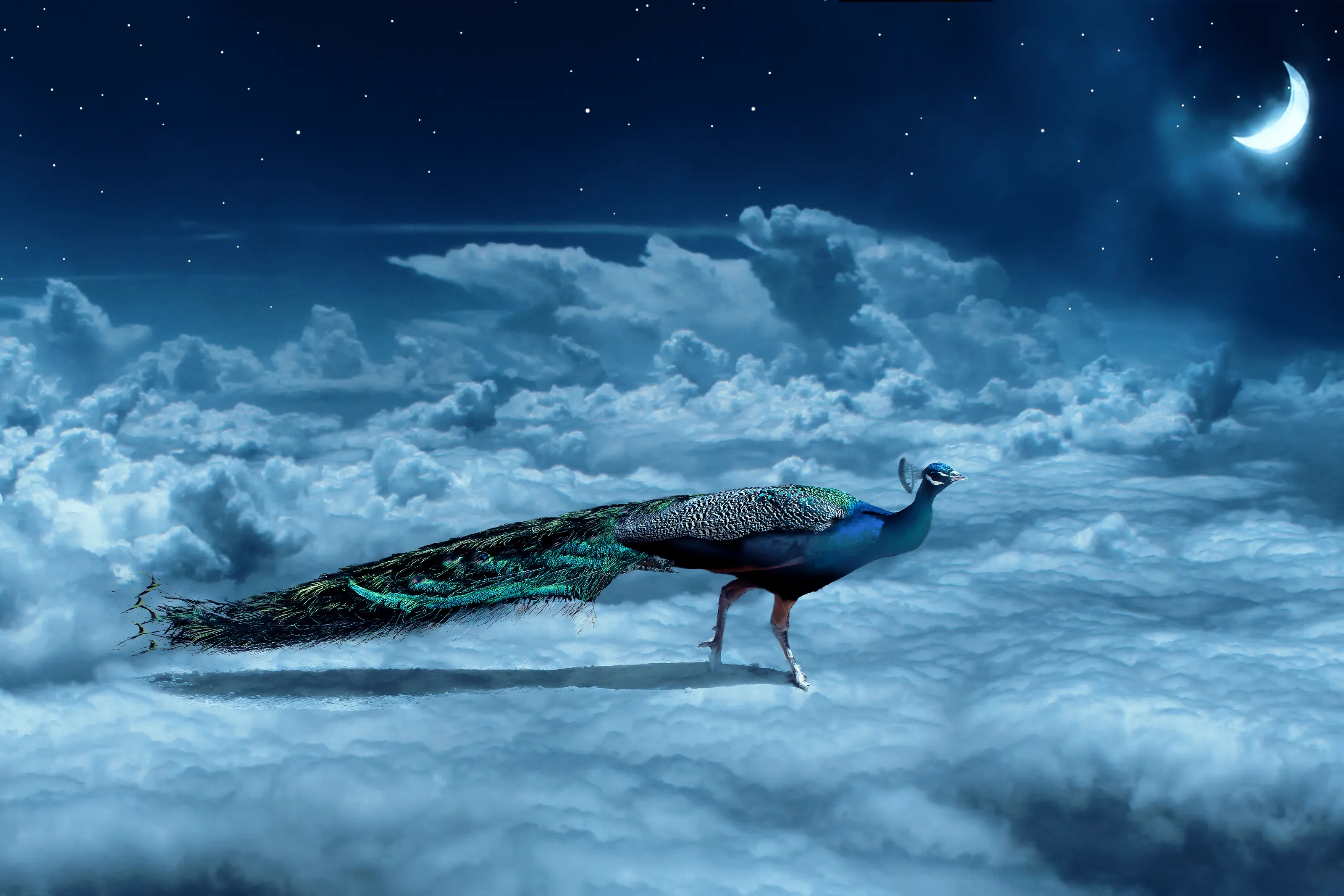 Surrealism