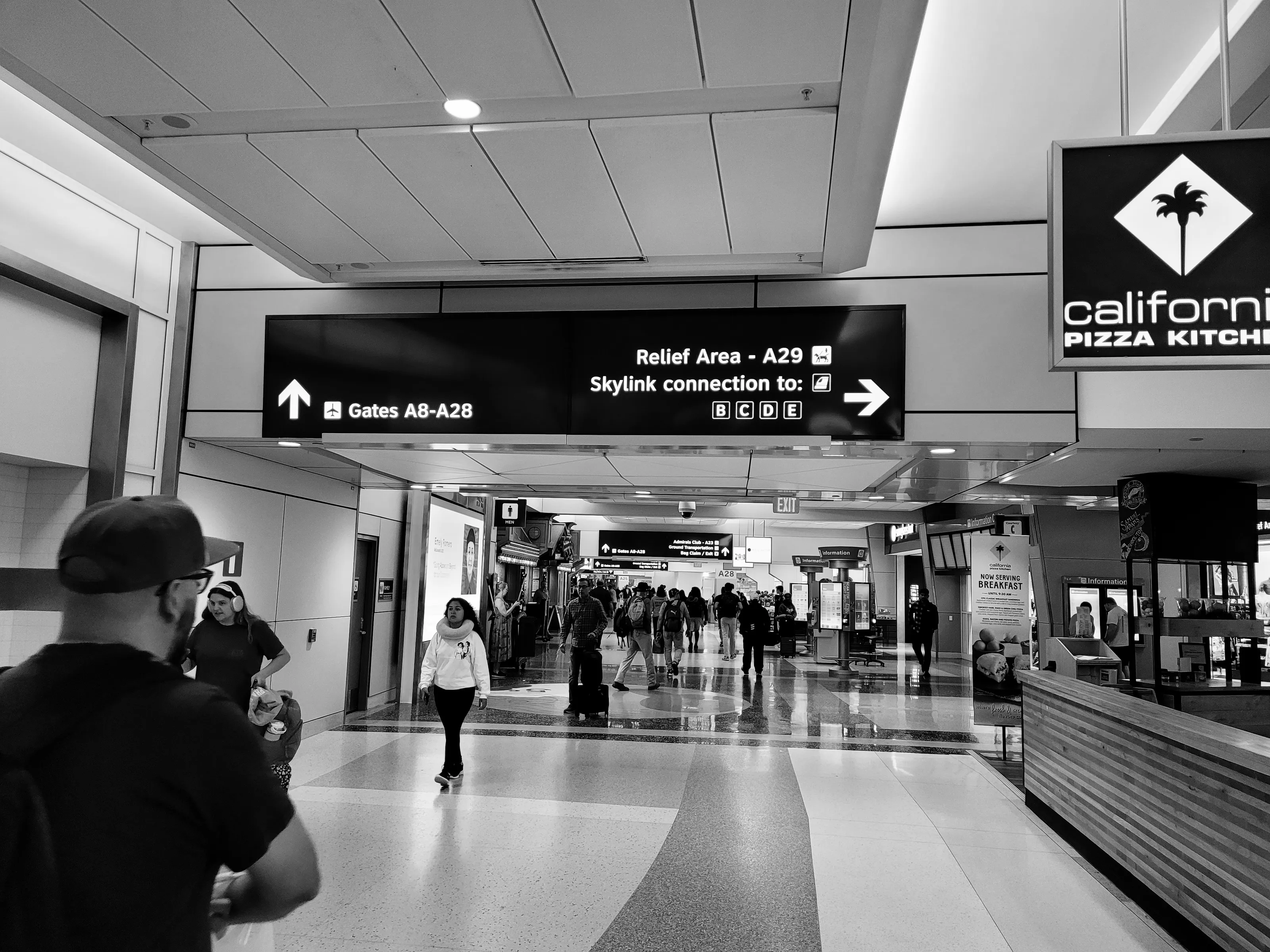 People in Airport Terminals