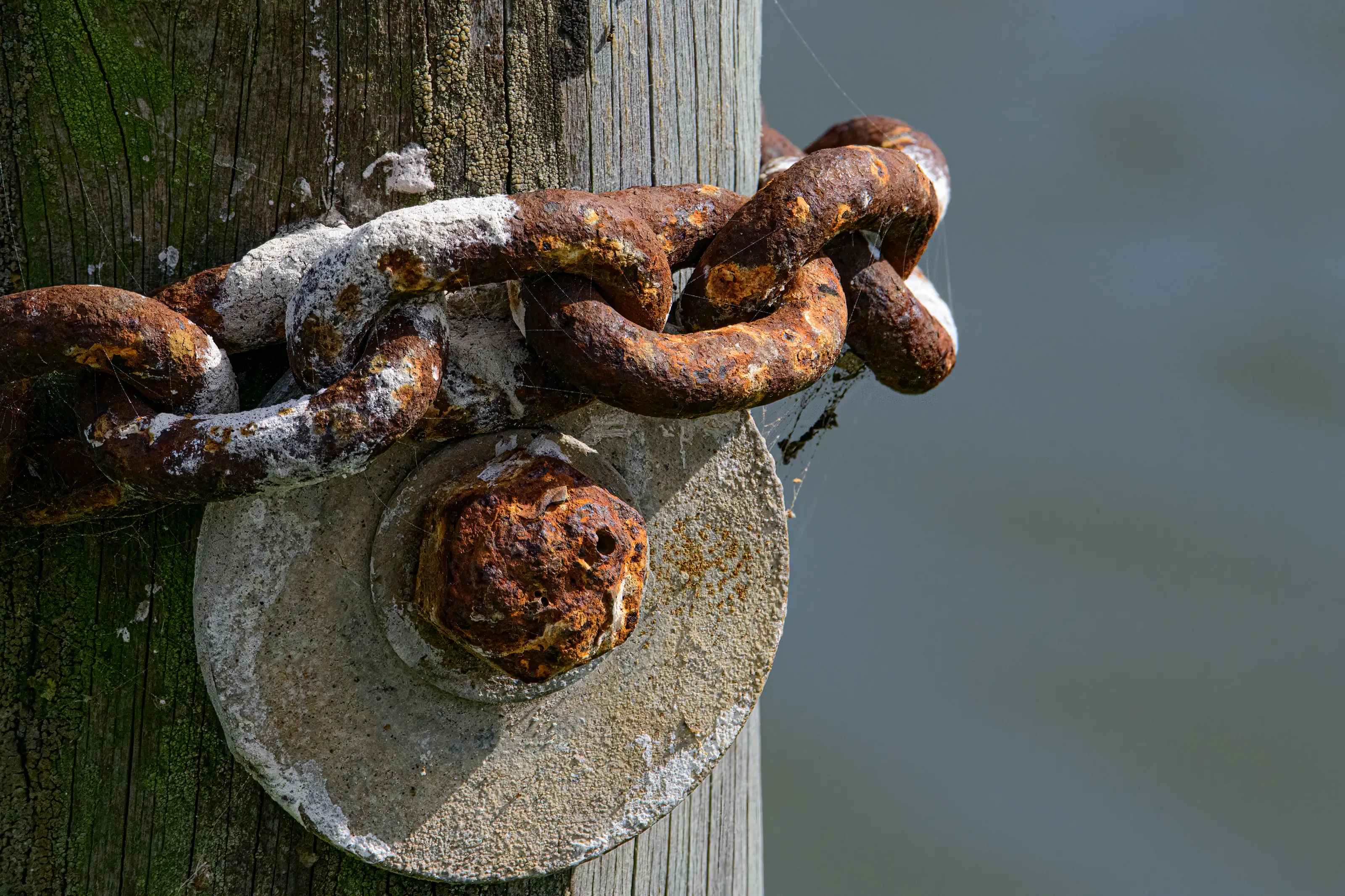 Rusted (in colour)