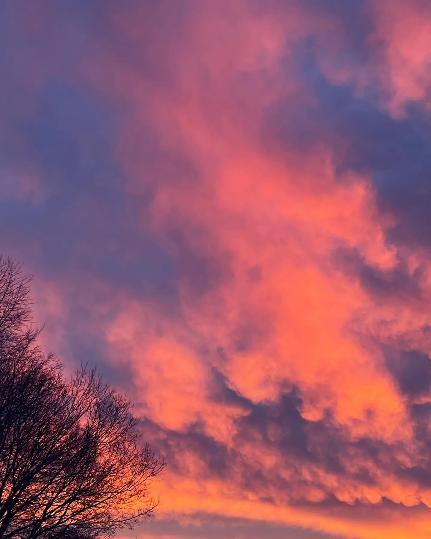 Anything in the Sky