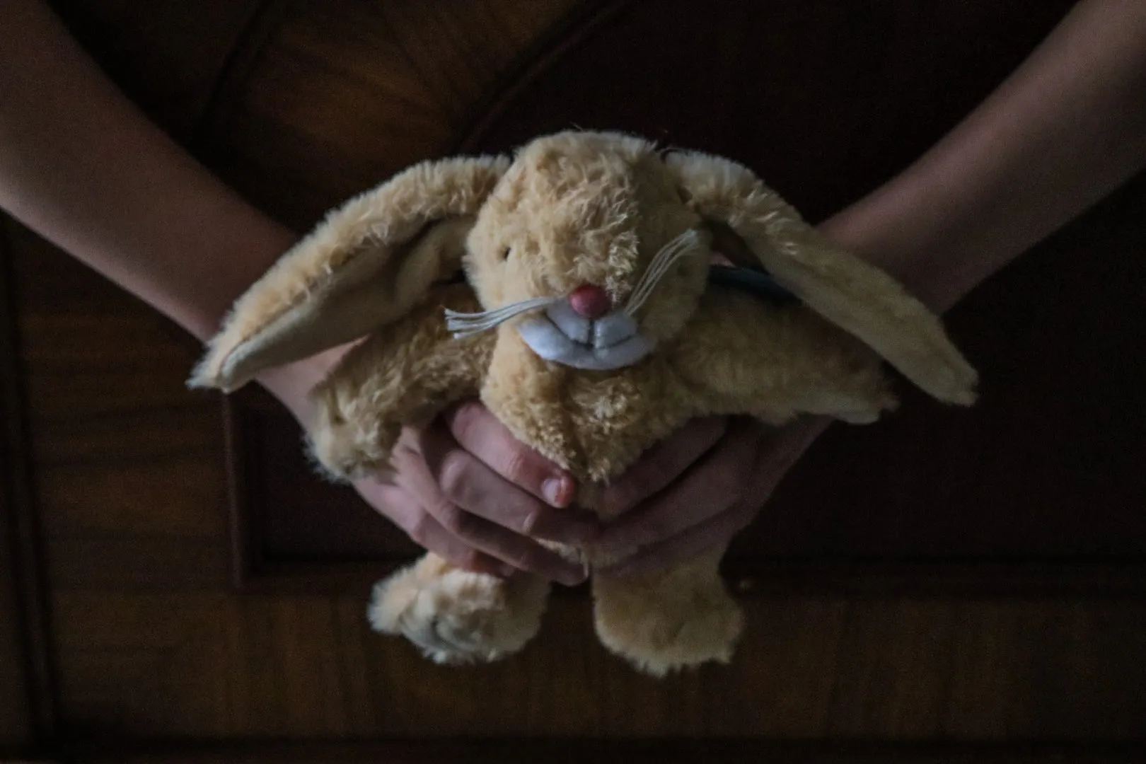 Stuffed Toy Animals