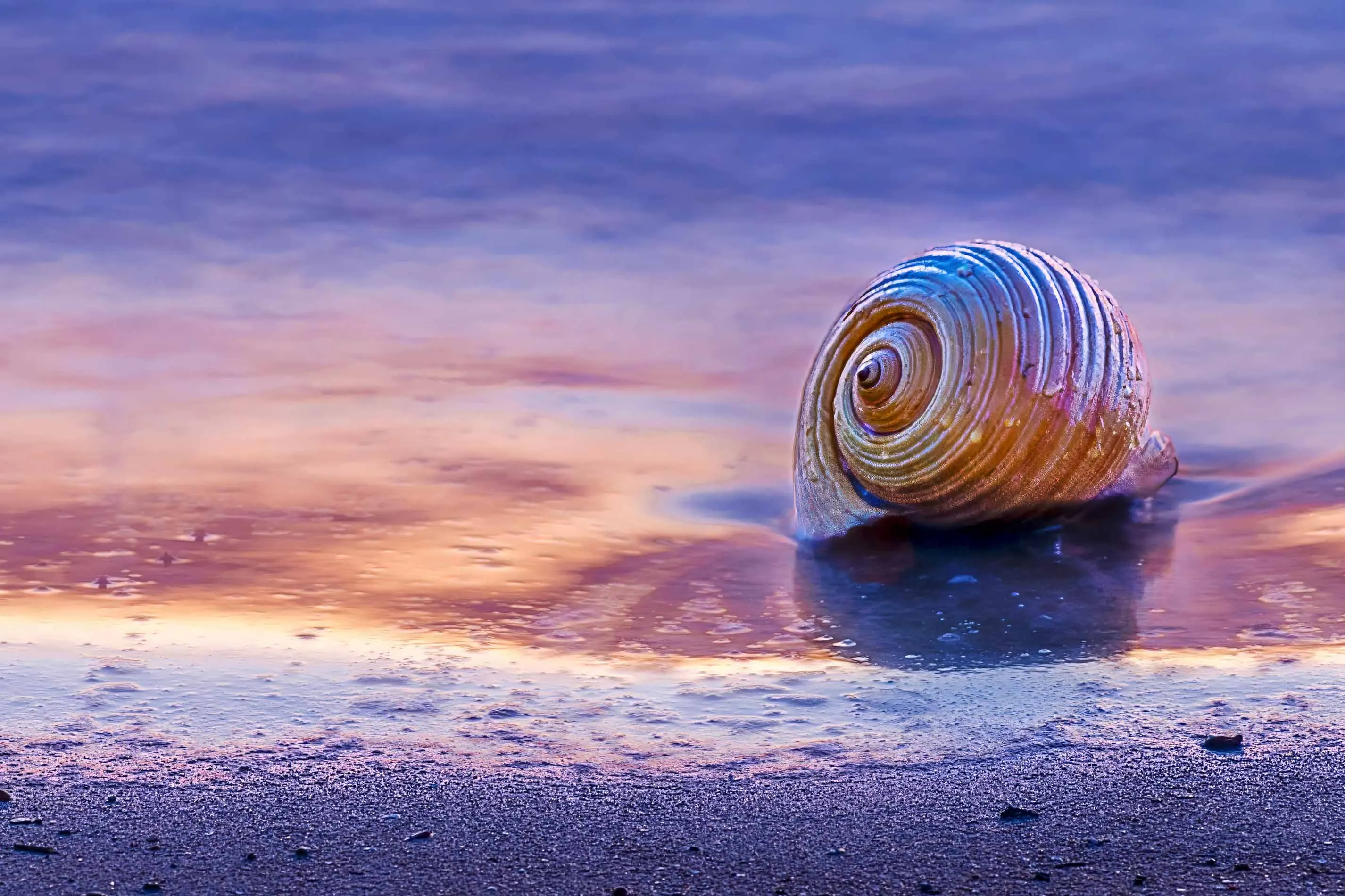The Beach