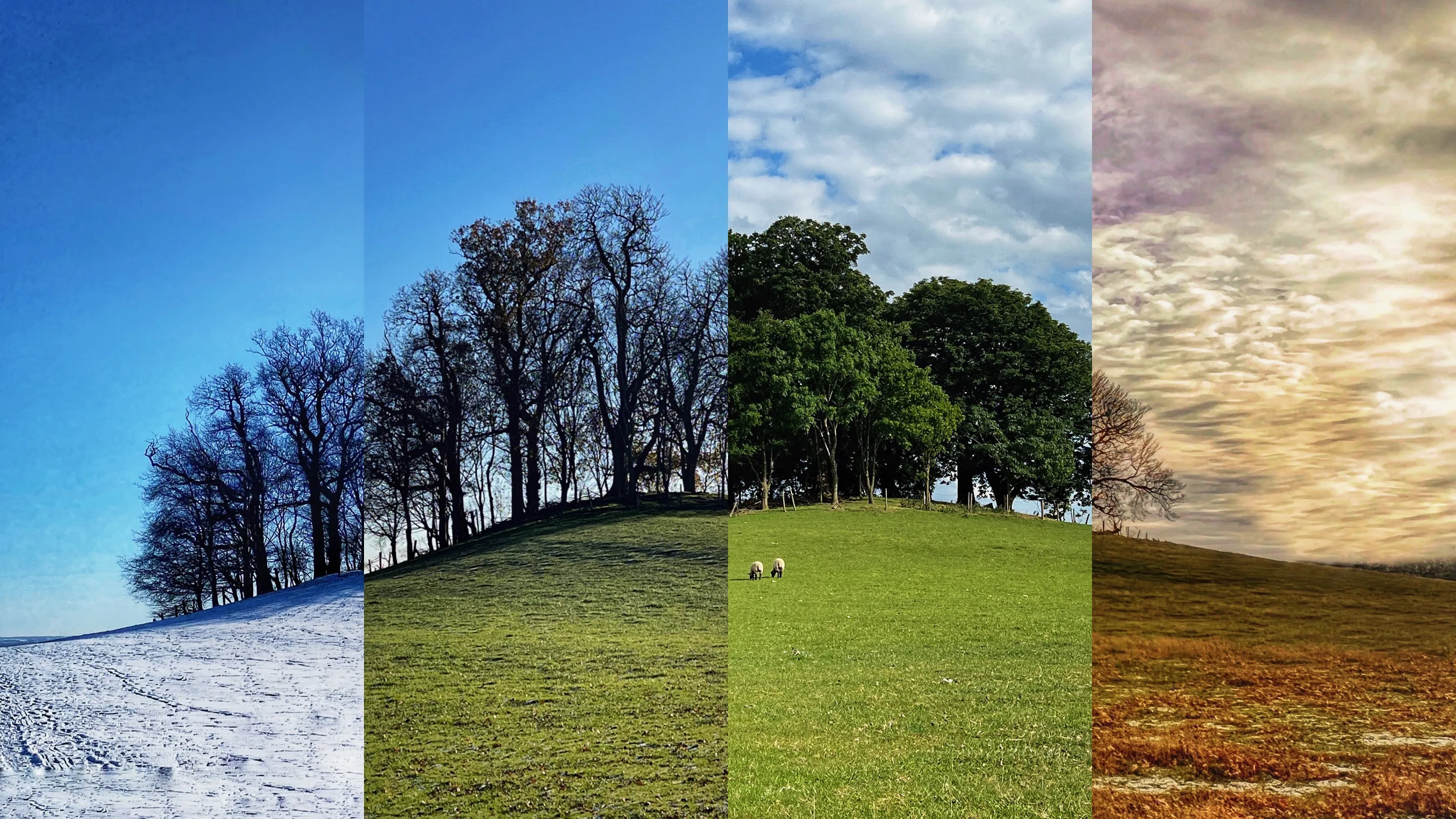 Quadtychs