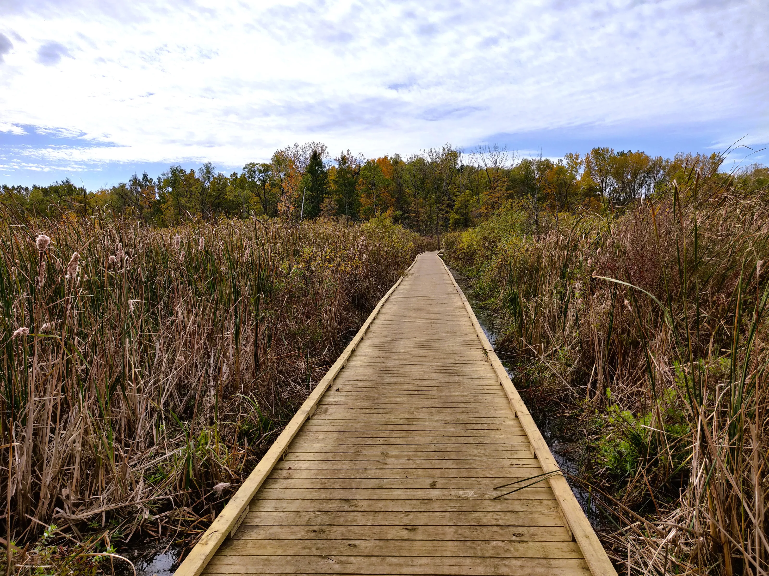 Boardwalks in Nature