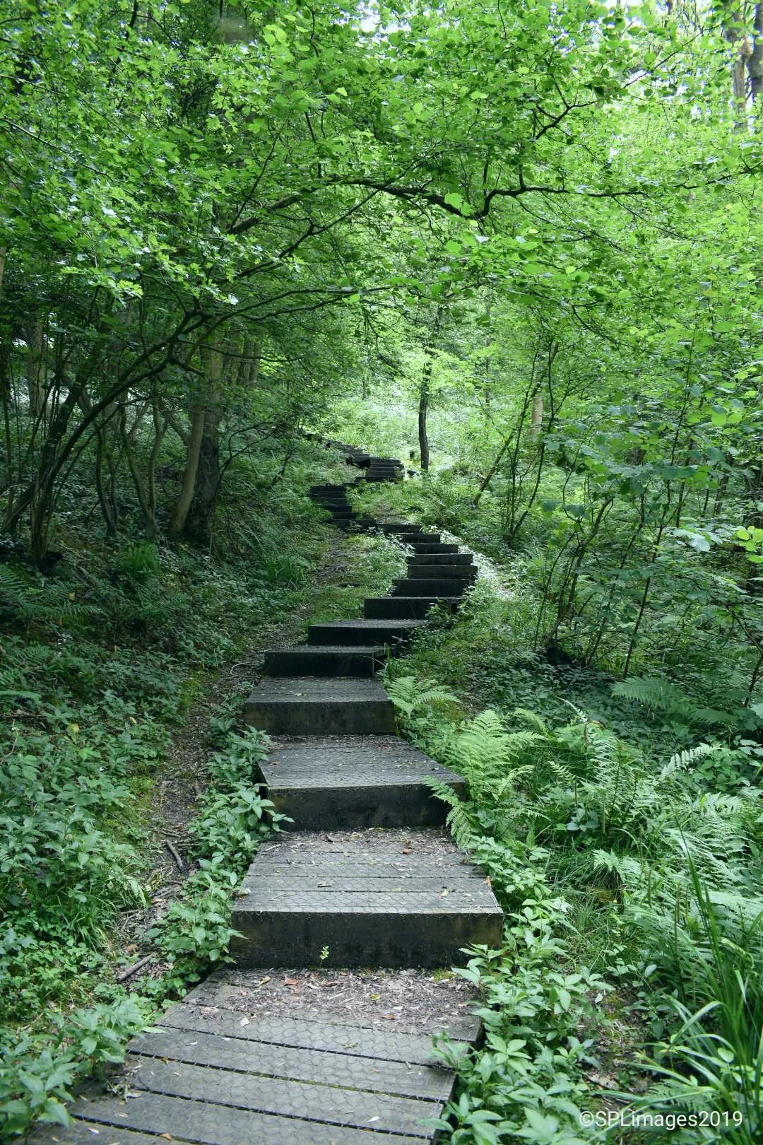 Flights of Steps or Stairways