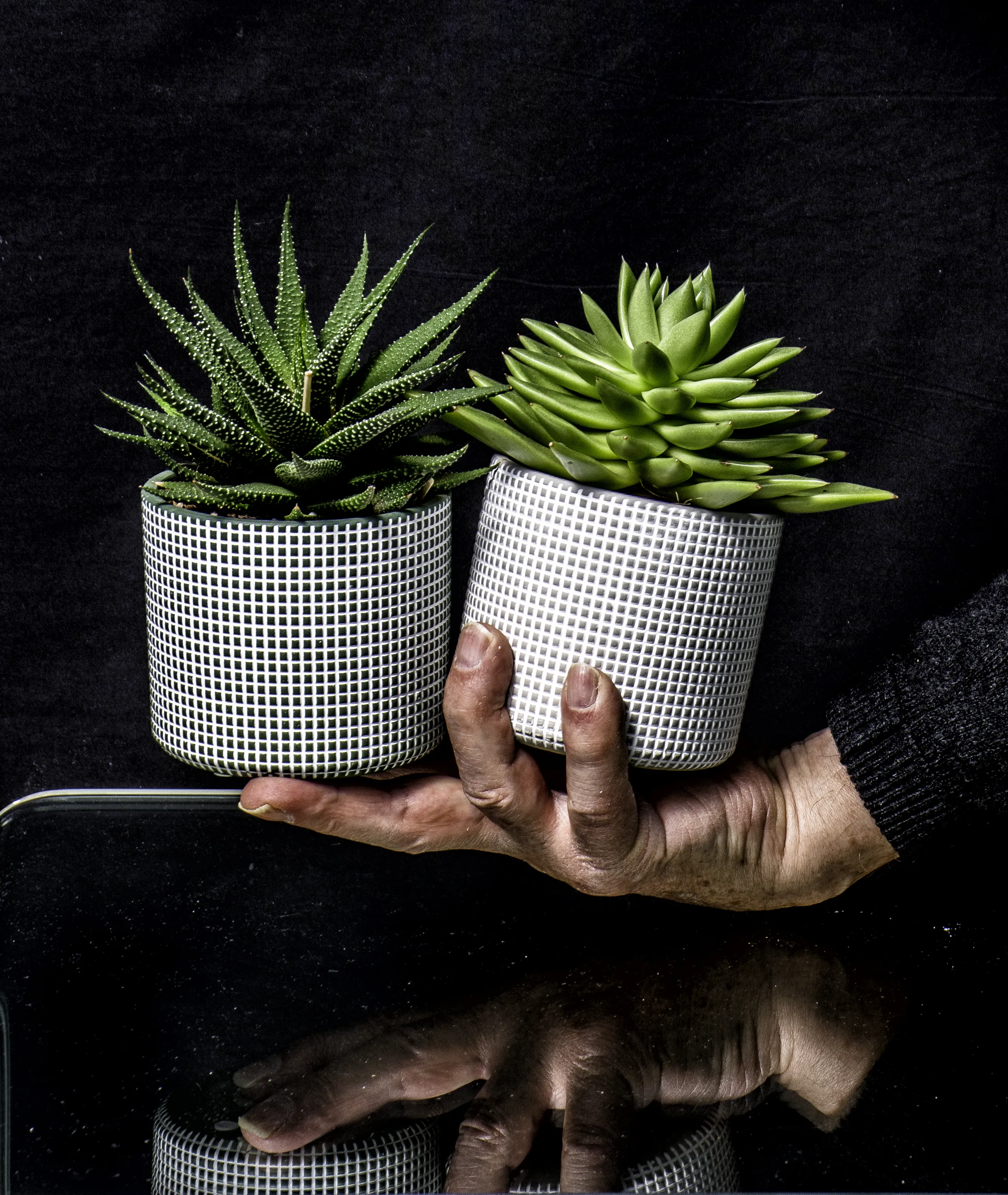 Plant Pots