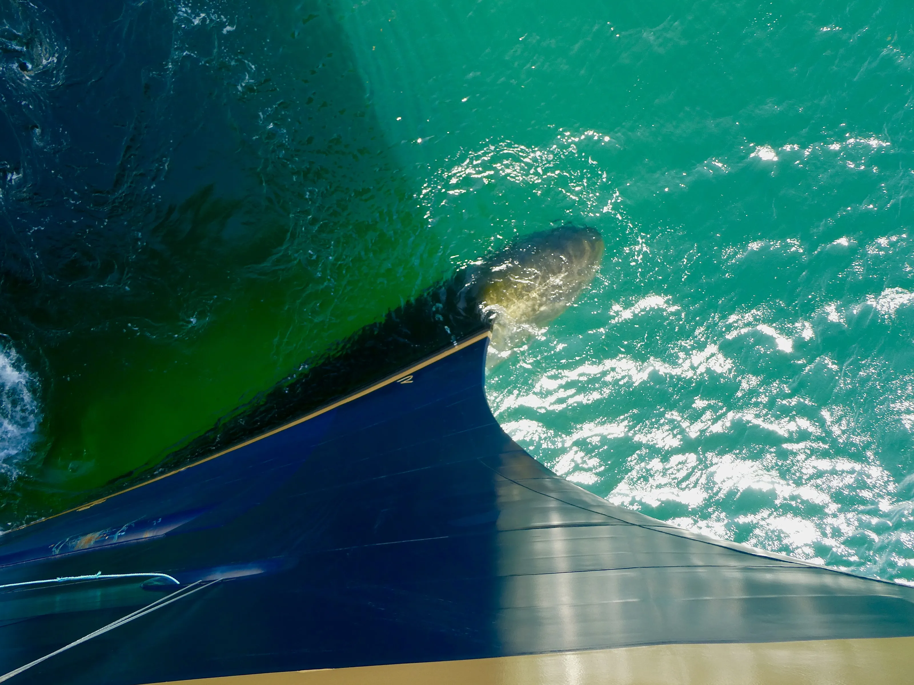 Familiar Things from an Unusual Angle