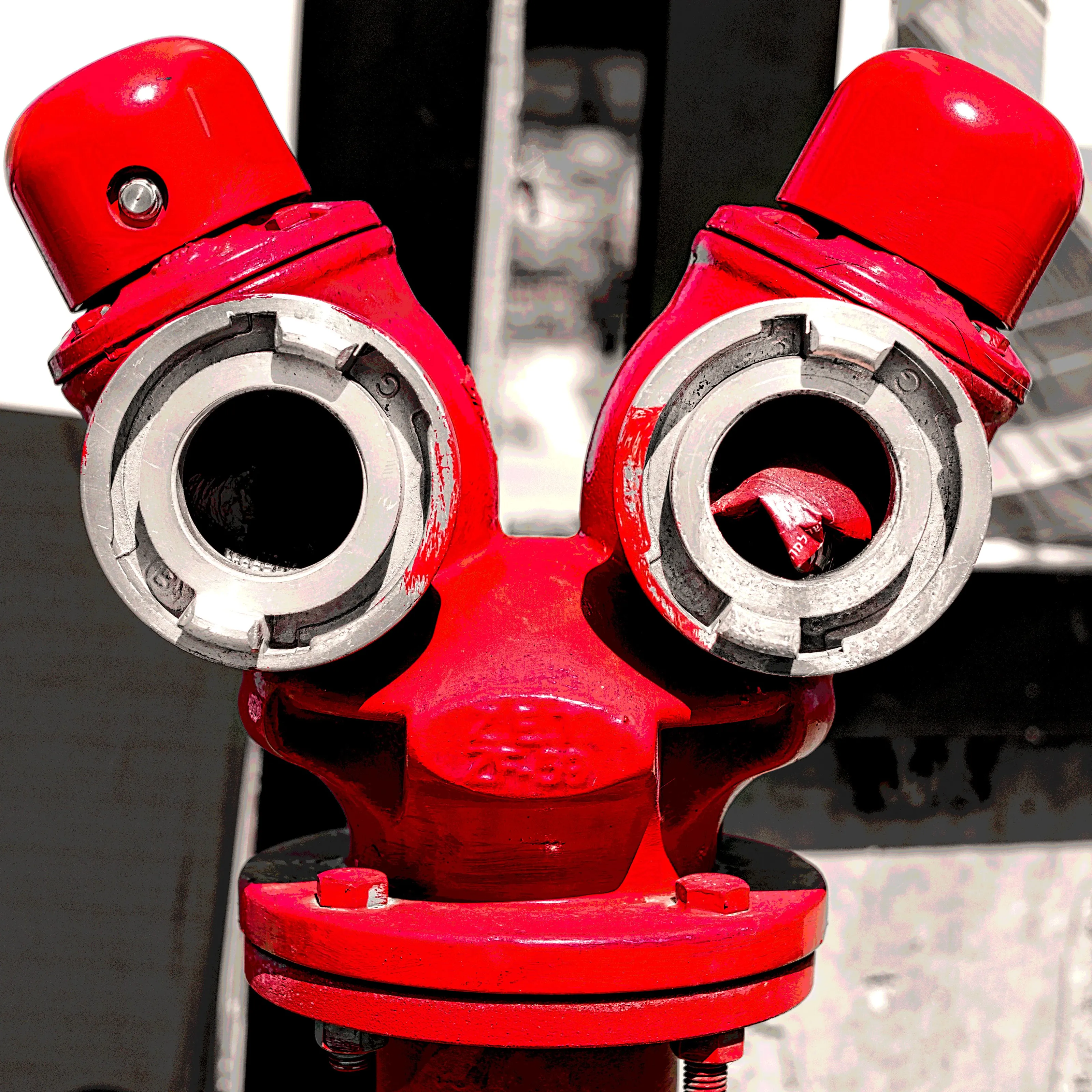 Objects That Look Like They Have Eyes