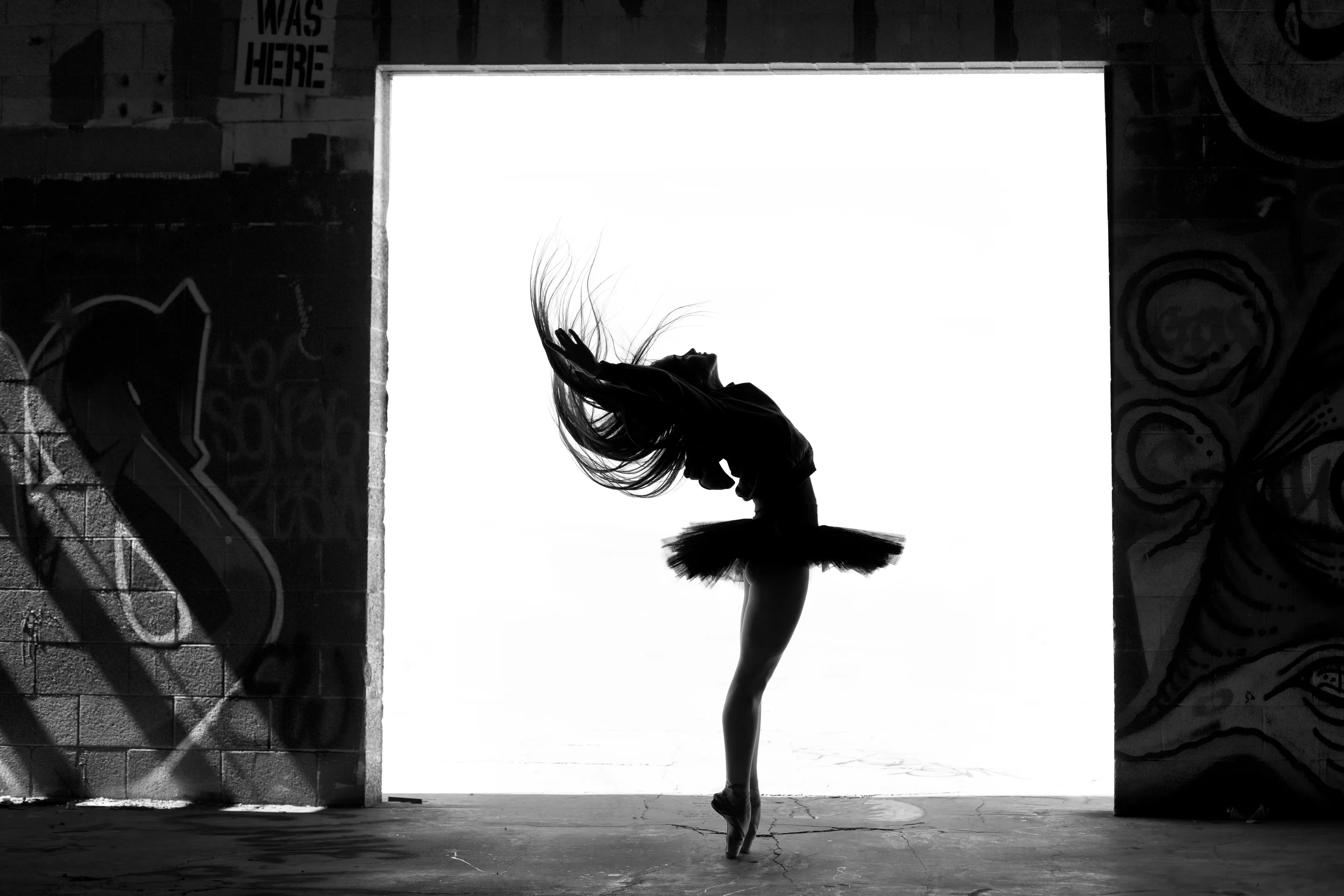 Ballet Dancers