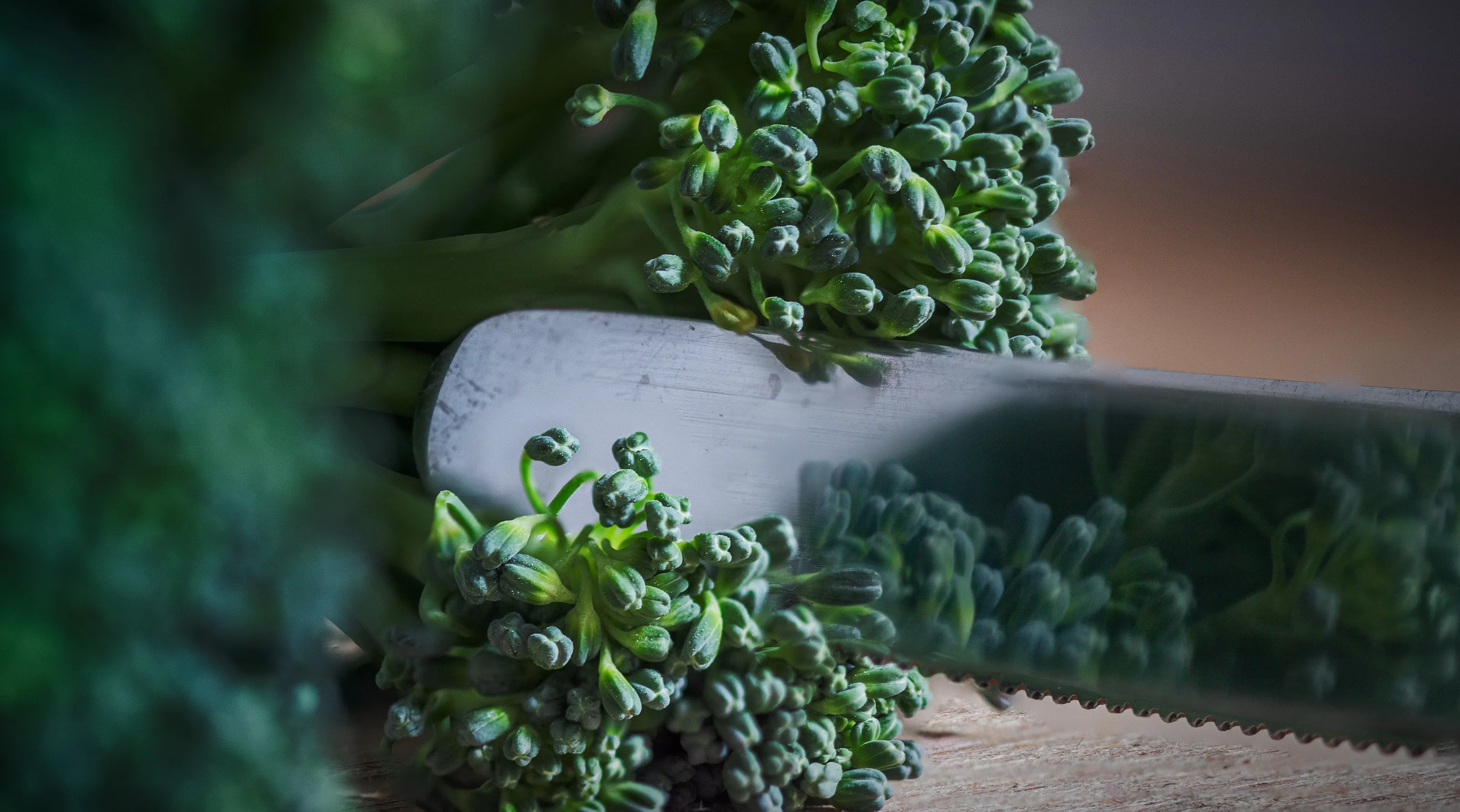 Kitchen Macro