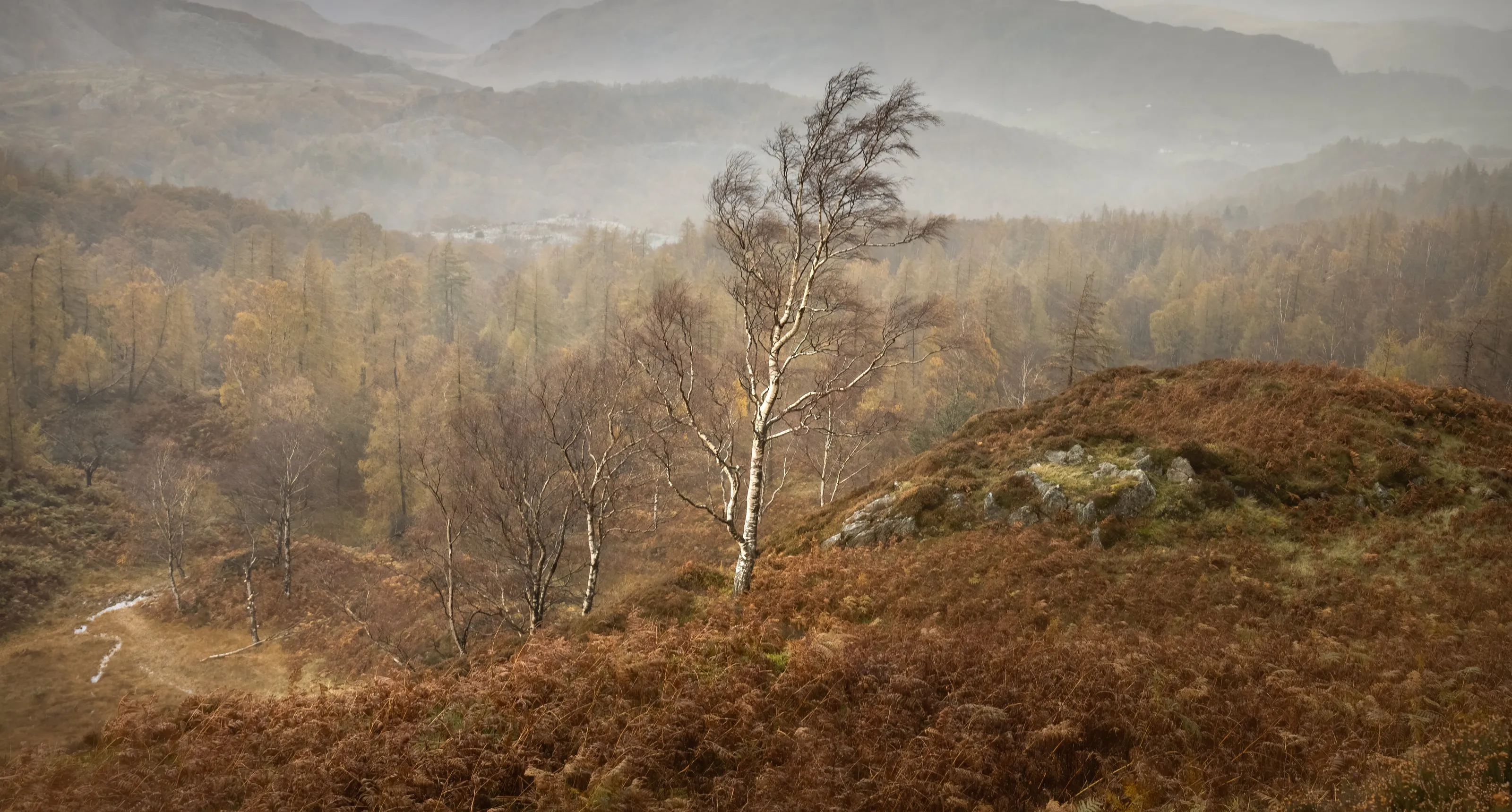 Autumn landscapes