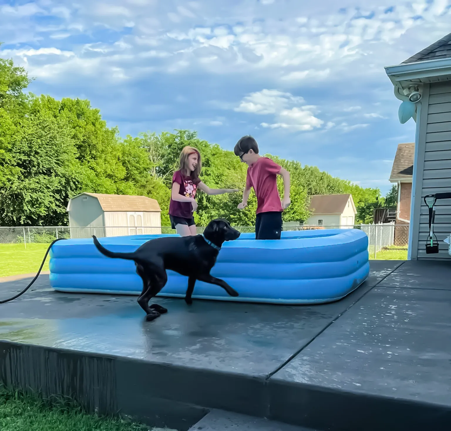 Children with Animals