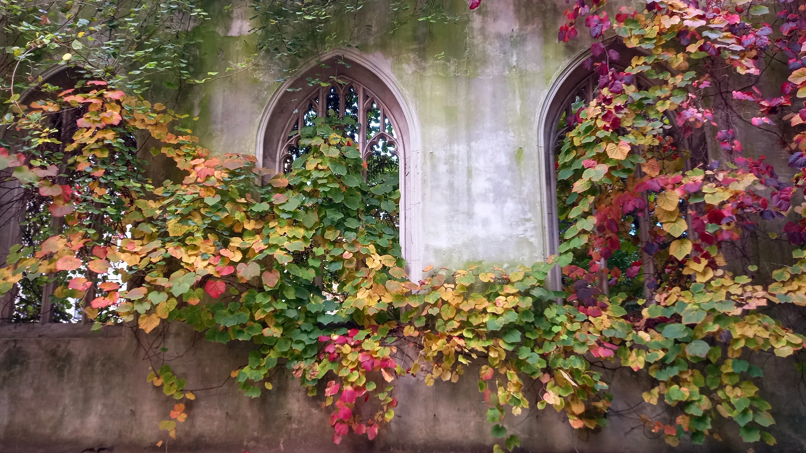 Reclaimed by Nature