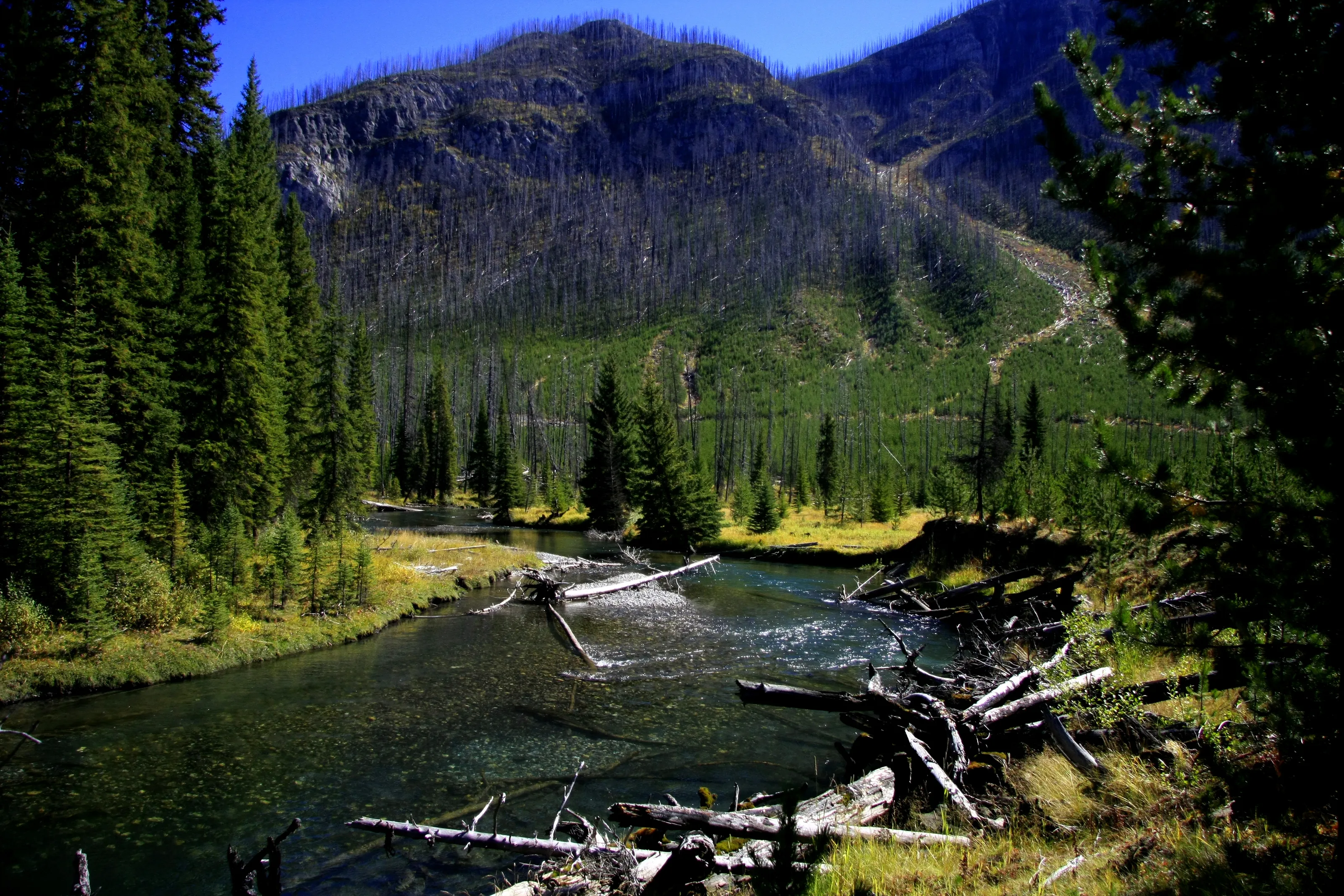 Rivers and Streams (in colour)