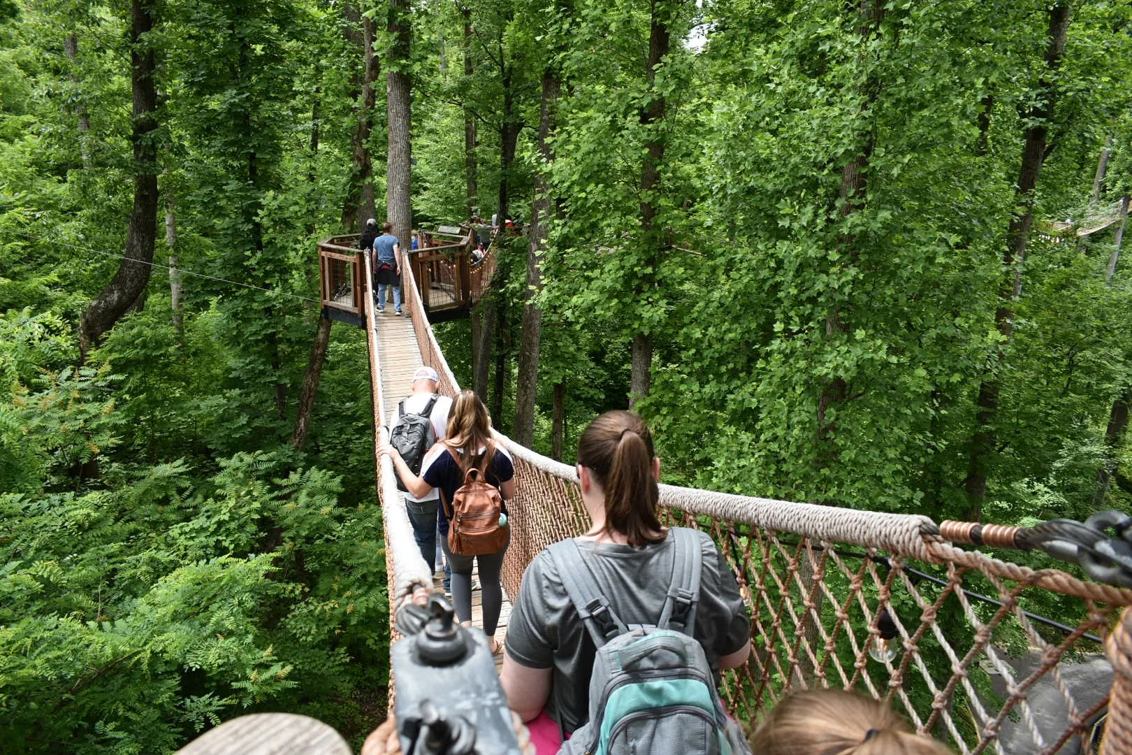 Bridges
