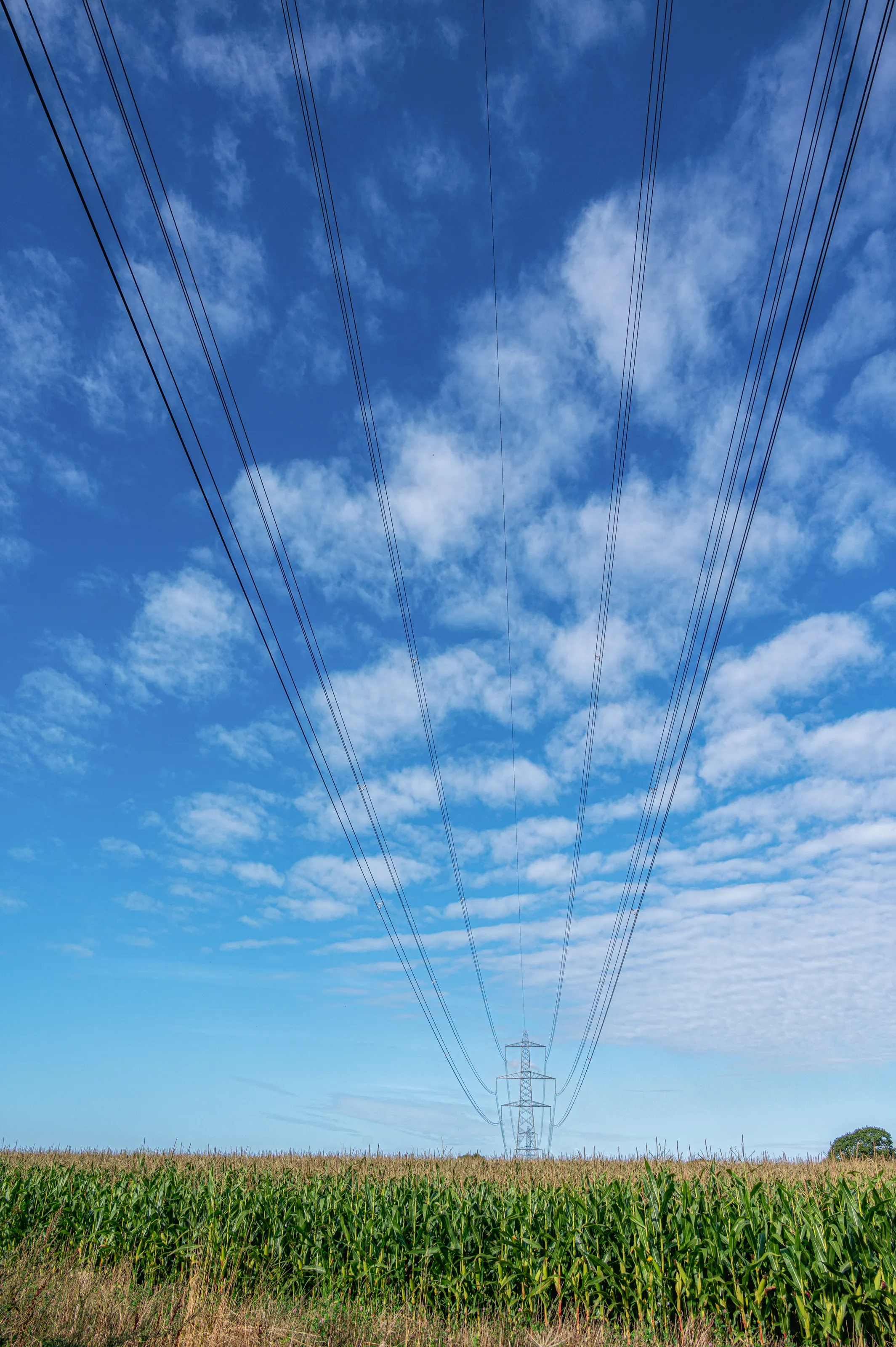 Focus on the Sky