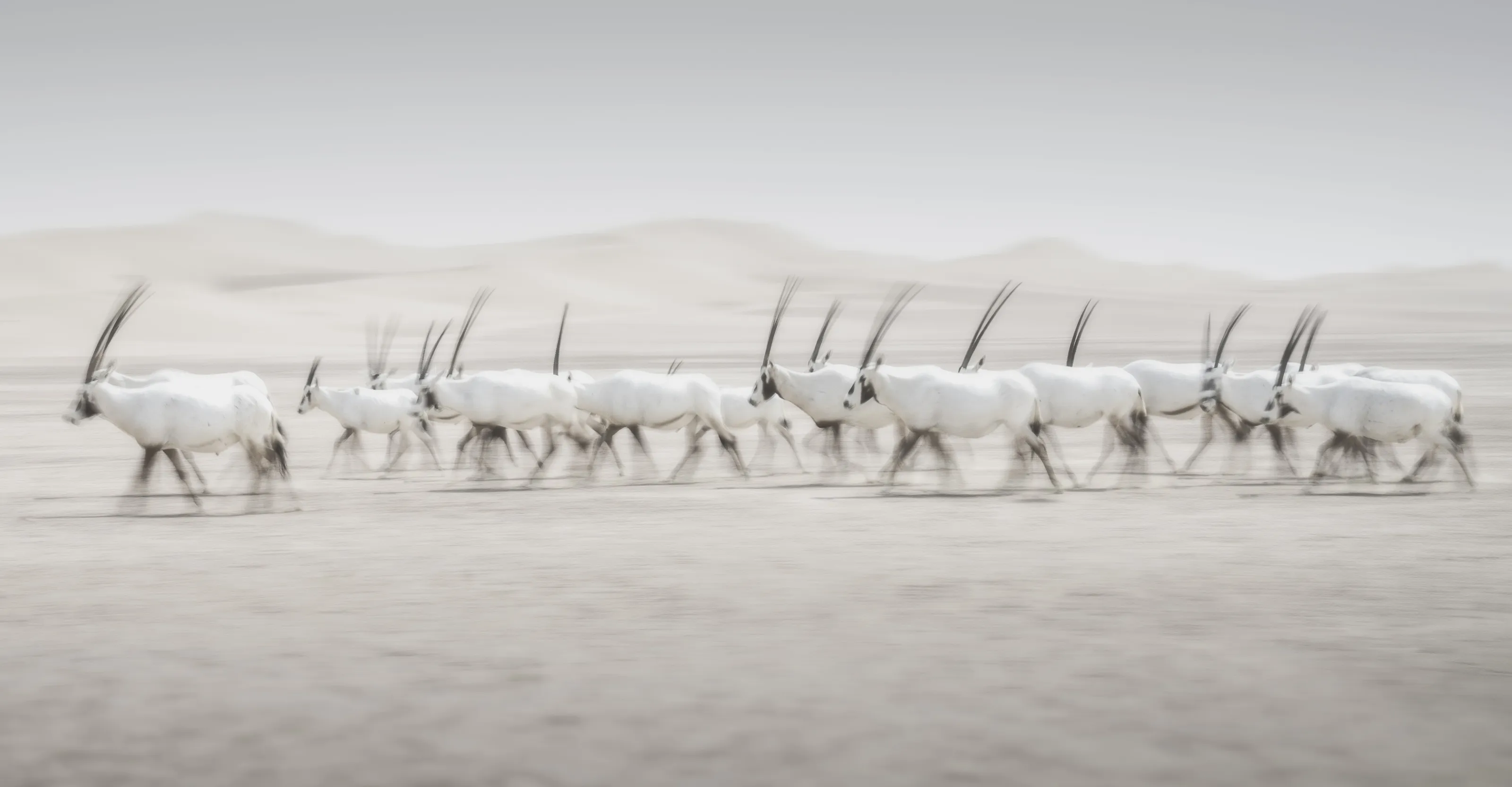 Movement in nature