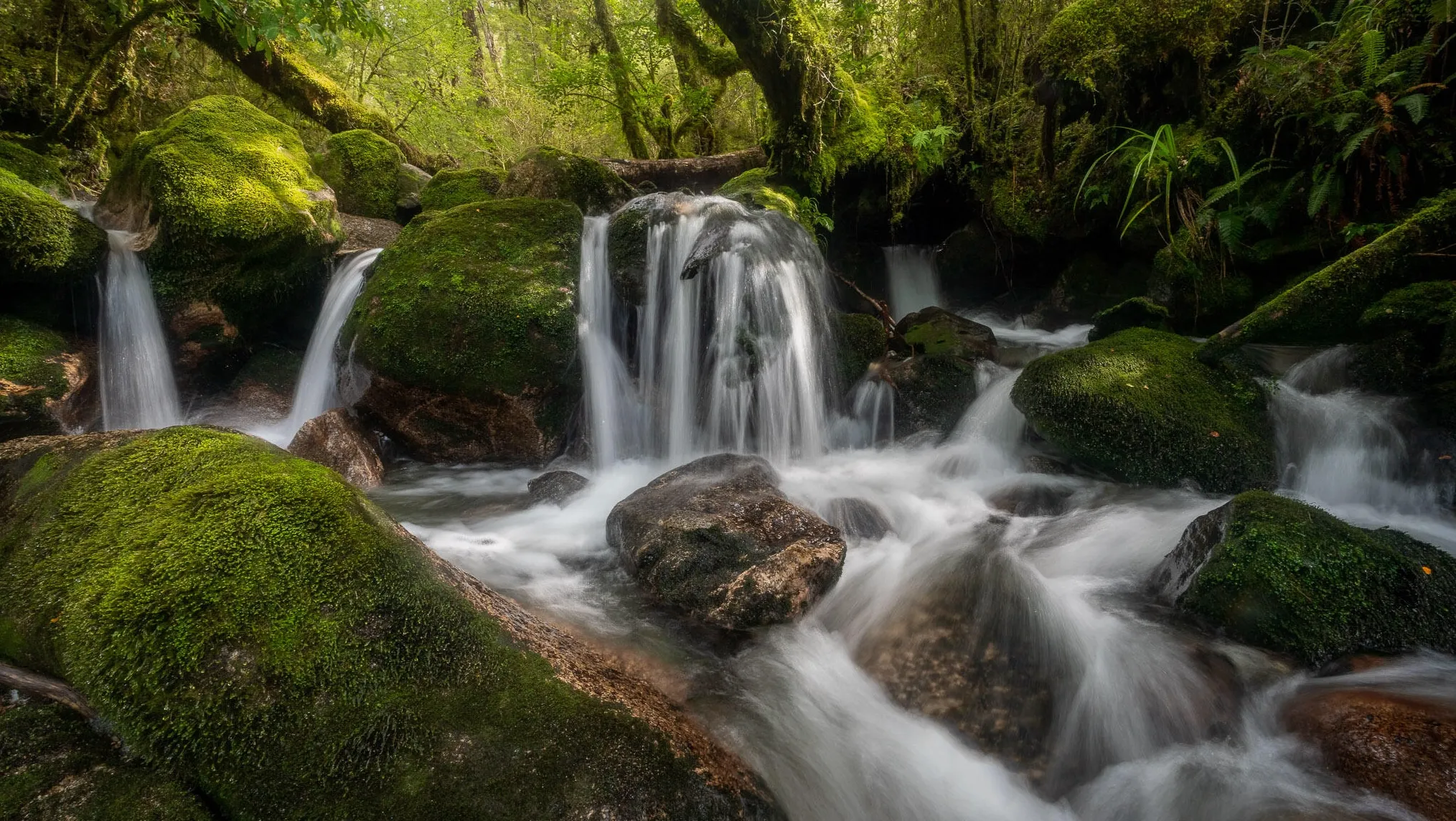 Rivers and streams