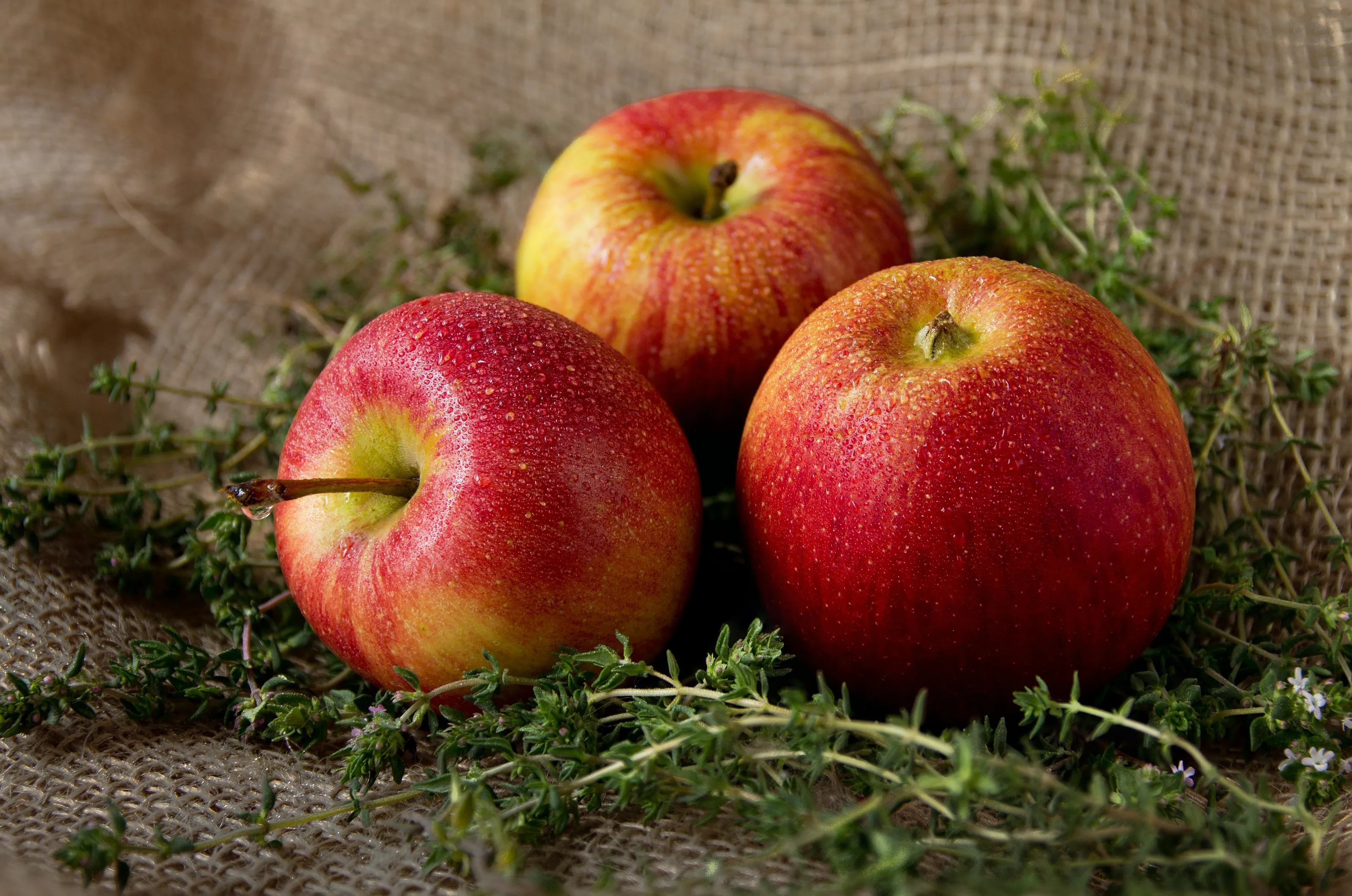 Apples