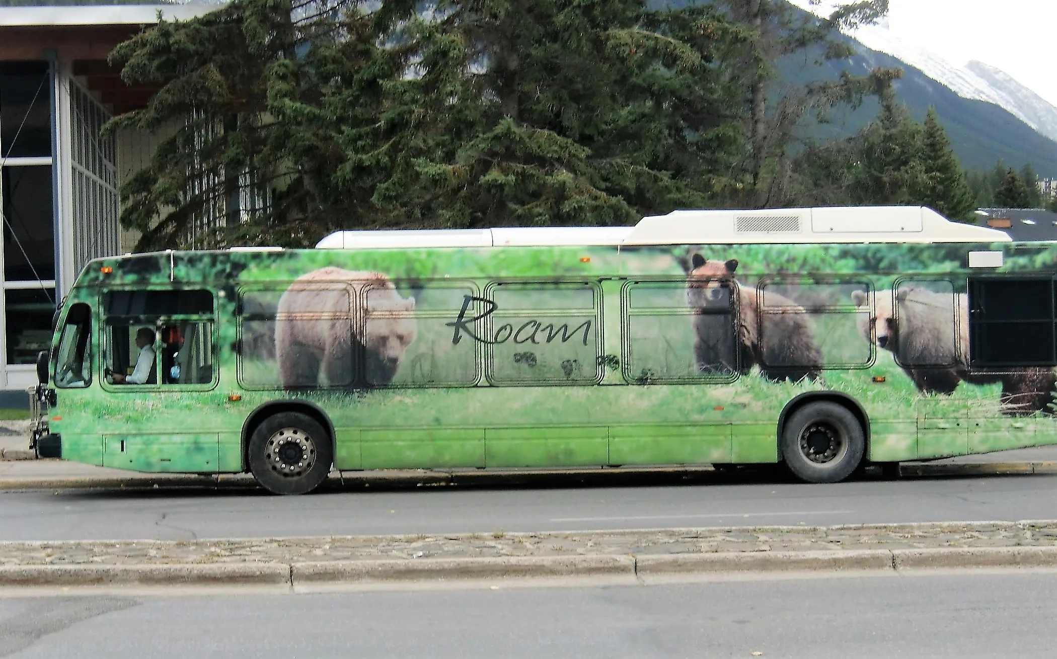 Scenes with Decorated Transport (in colour)