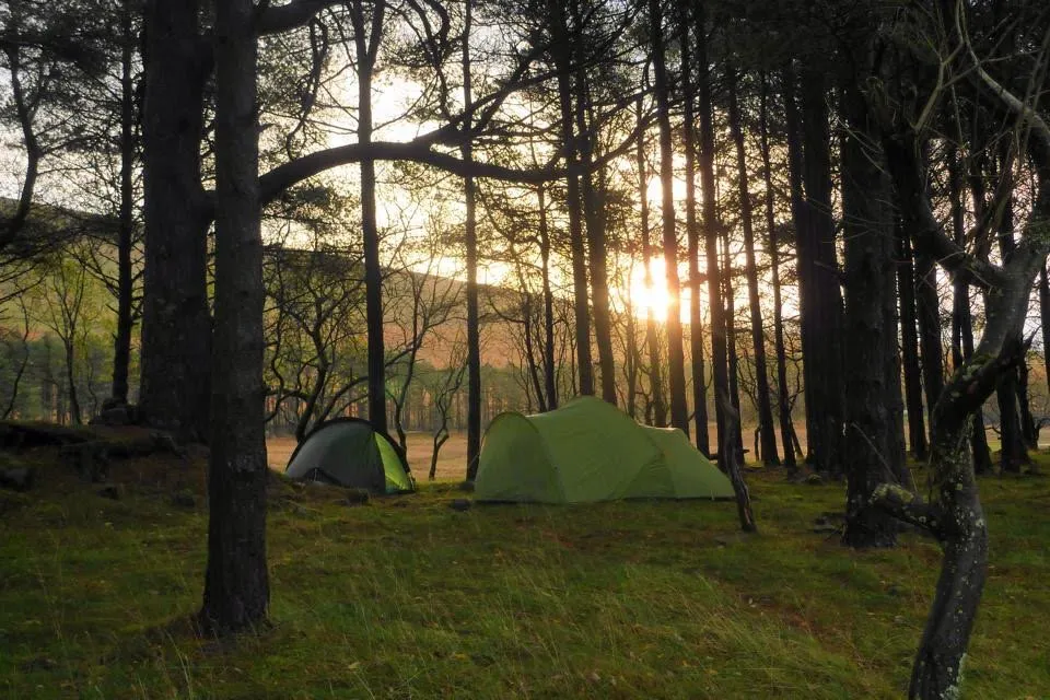 Tents and Their Campsite