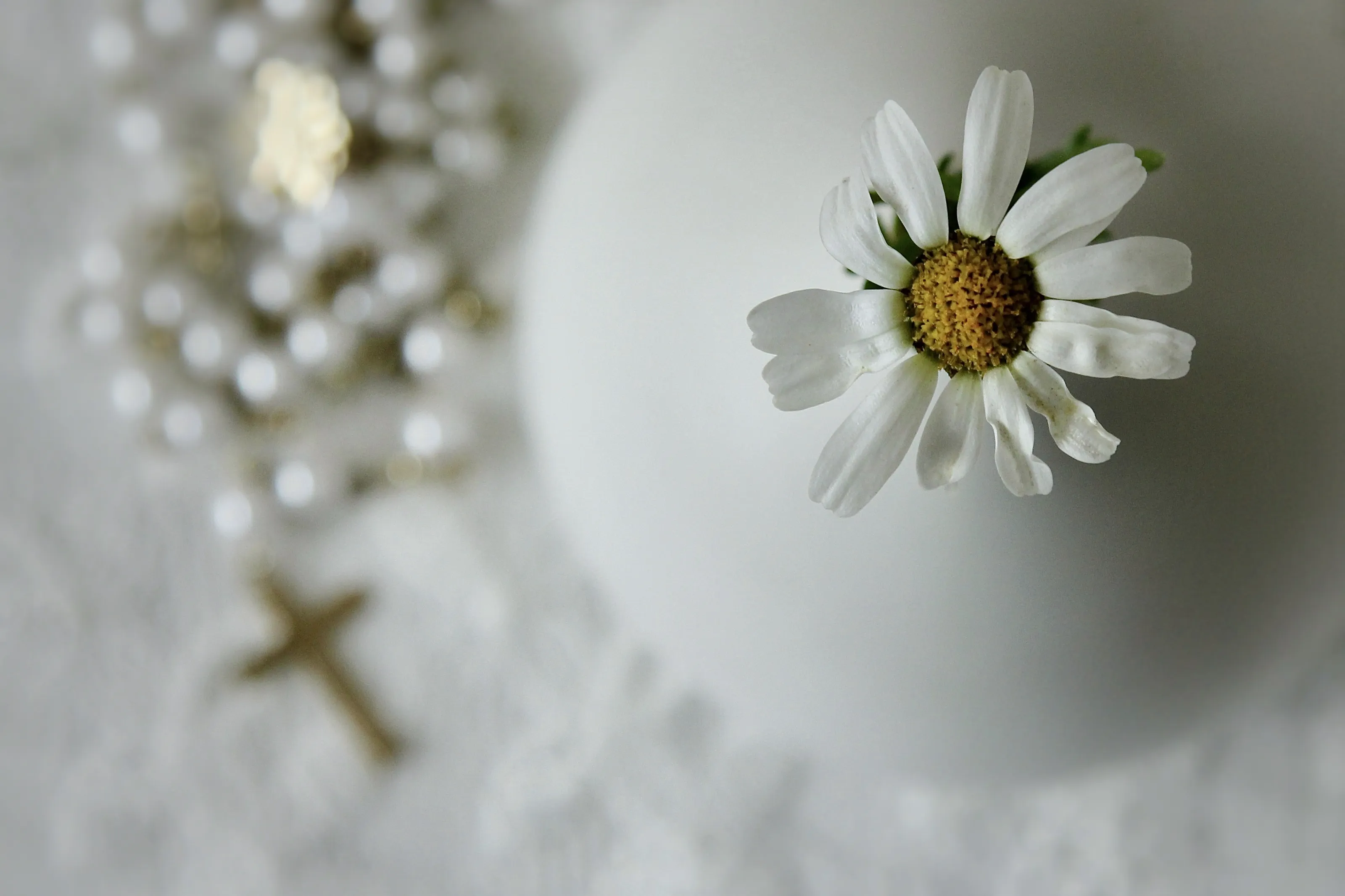 The Colour White (in colour)