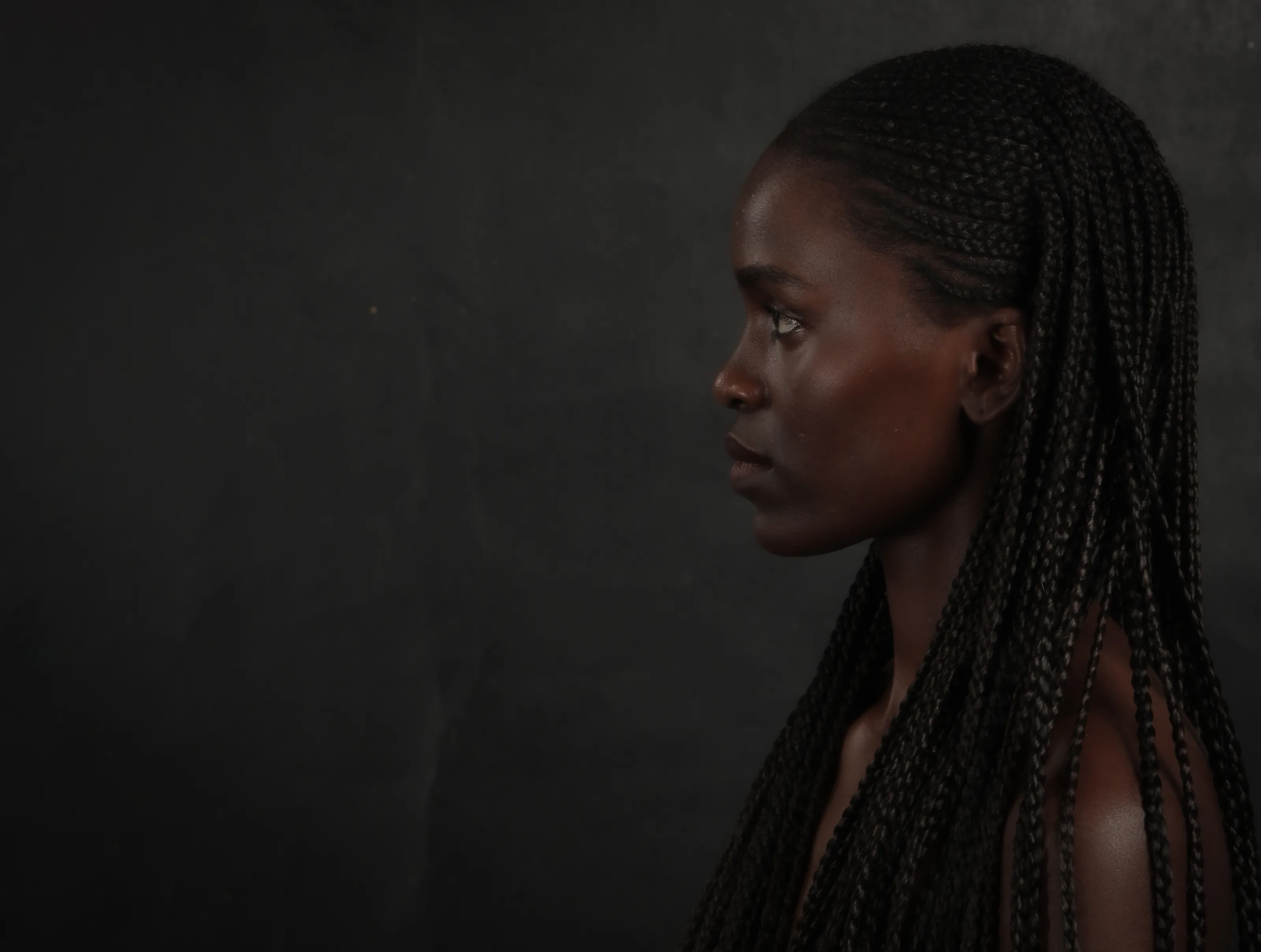 Low Key Portraits of People or Animals