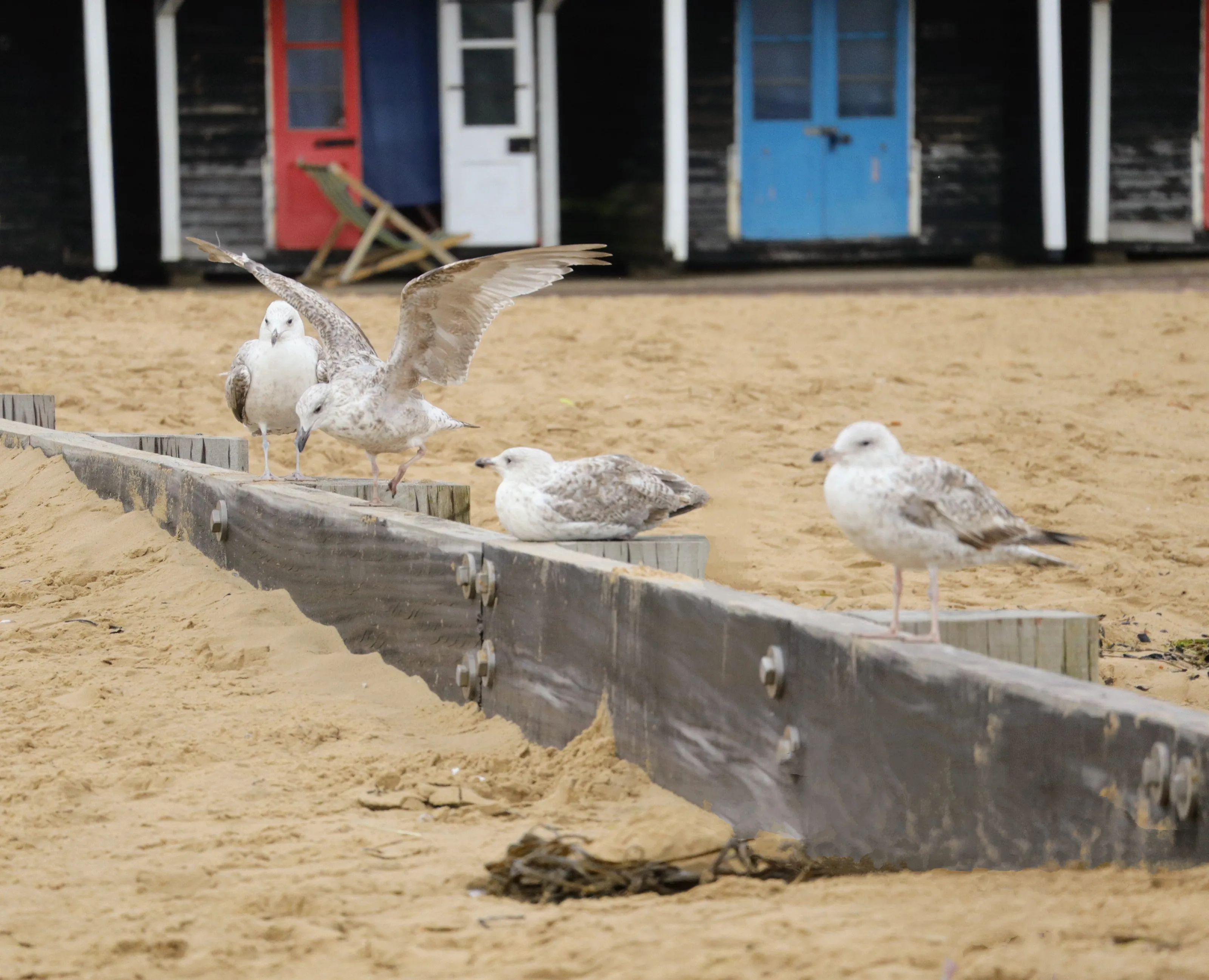 At the Seaside (no sunrises or sunsets)
