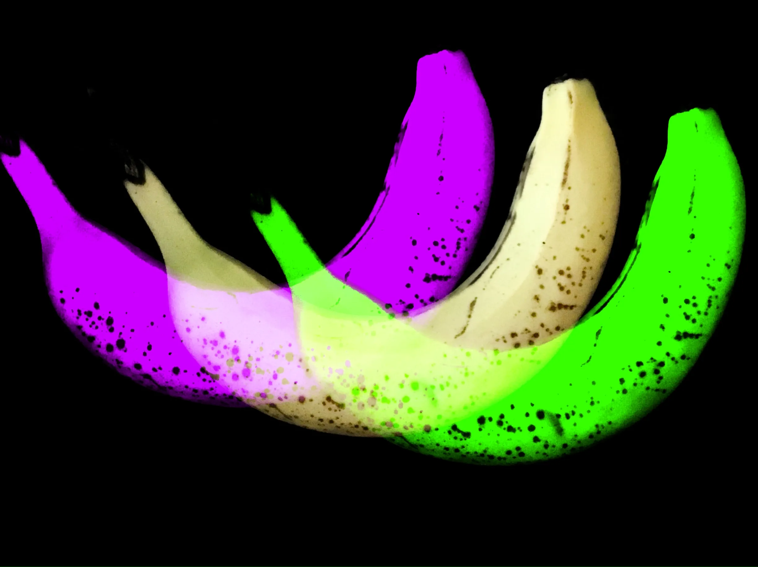 Abstract Fruit (in colour)