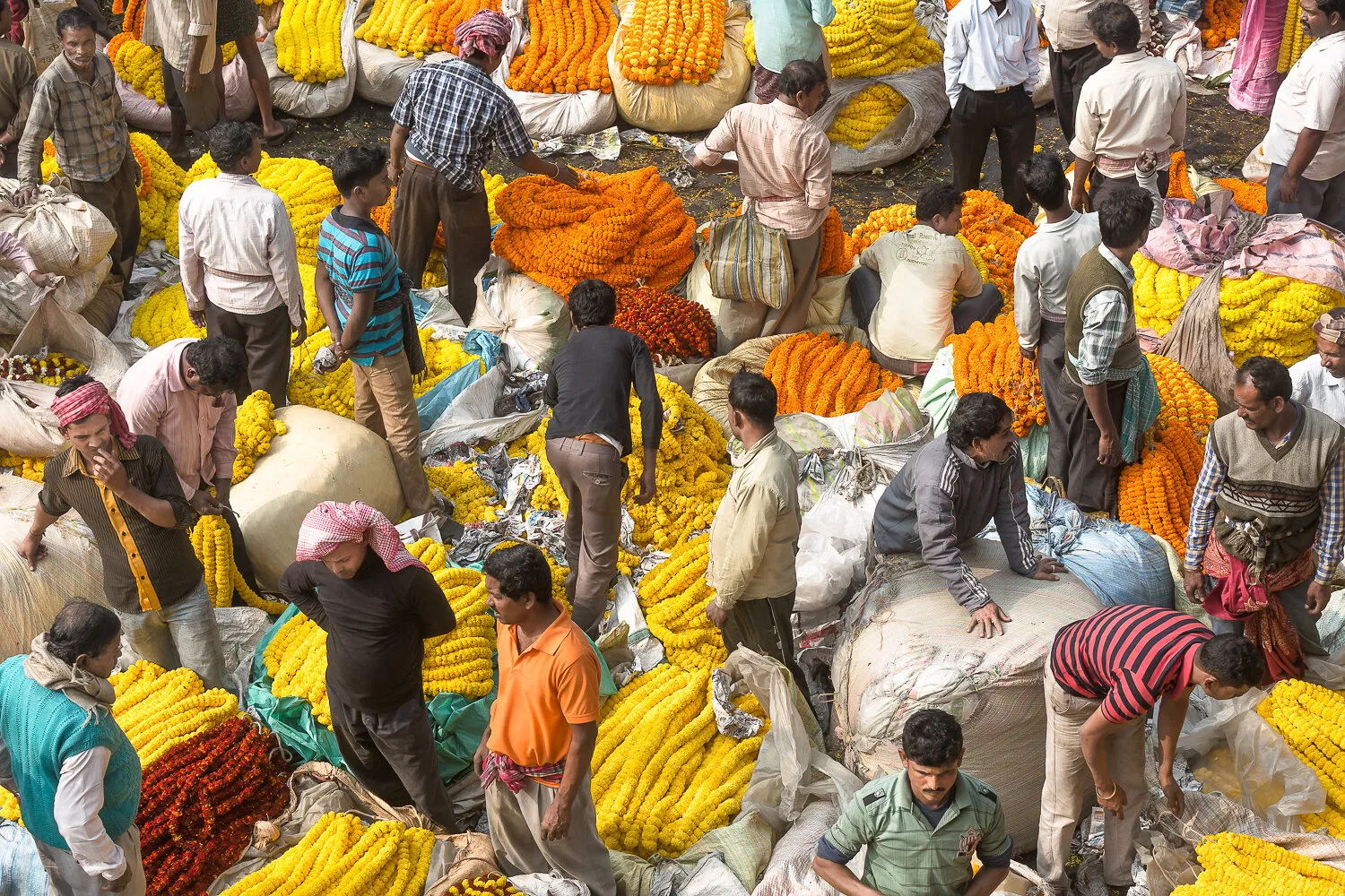 Calcutta Flower Market