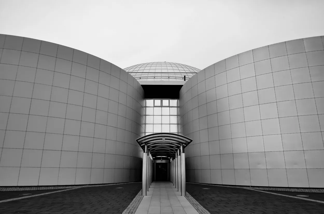 Entry 1295239