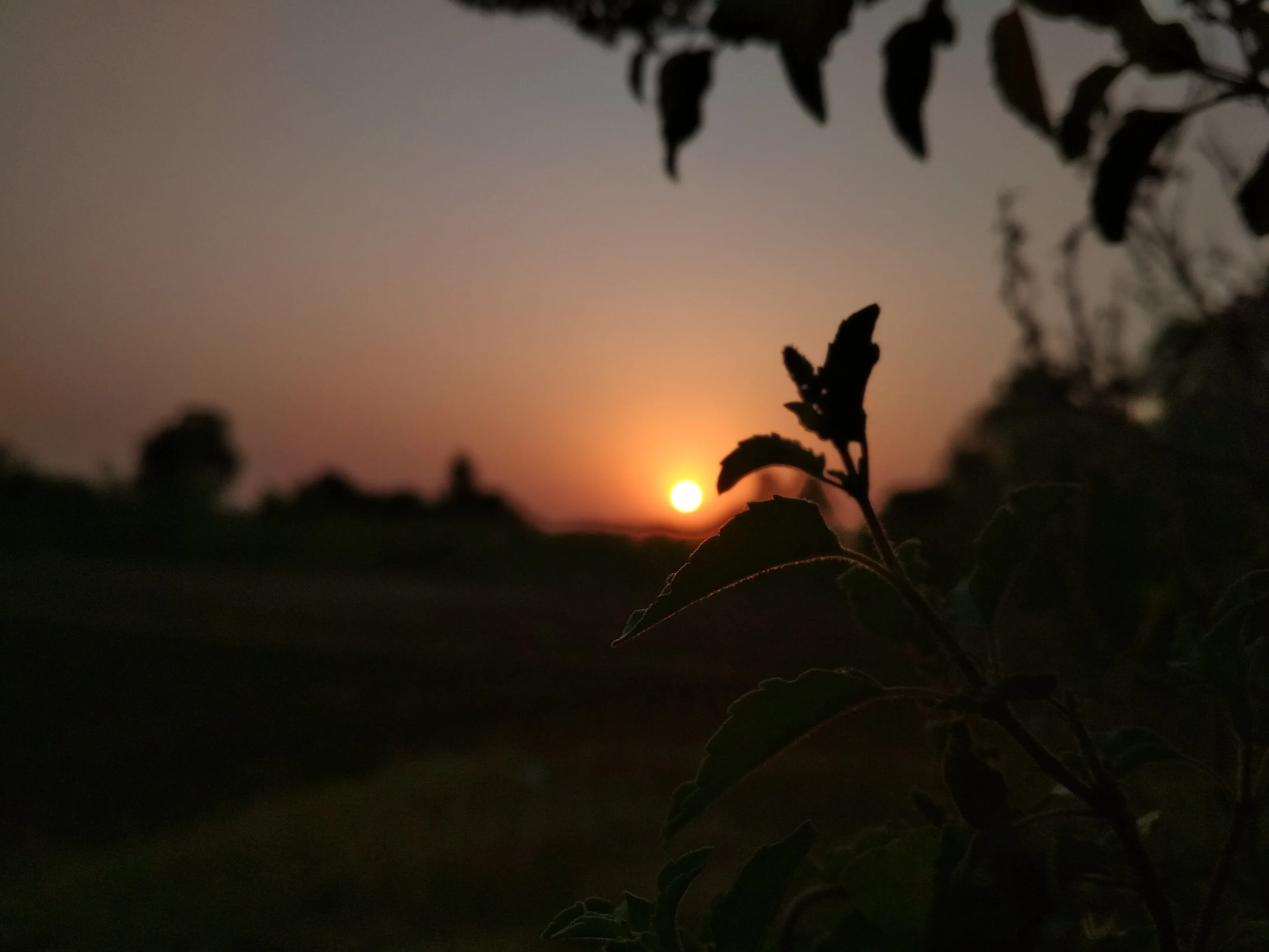 Superb sunset