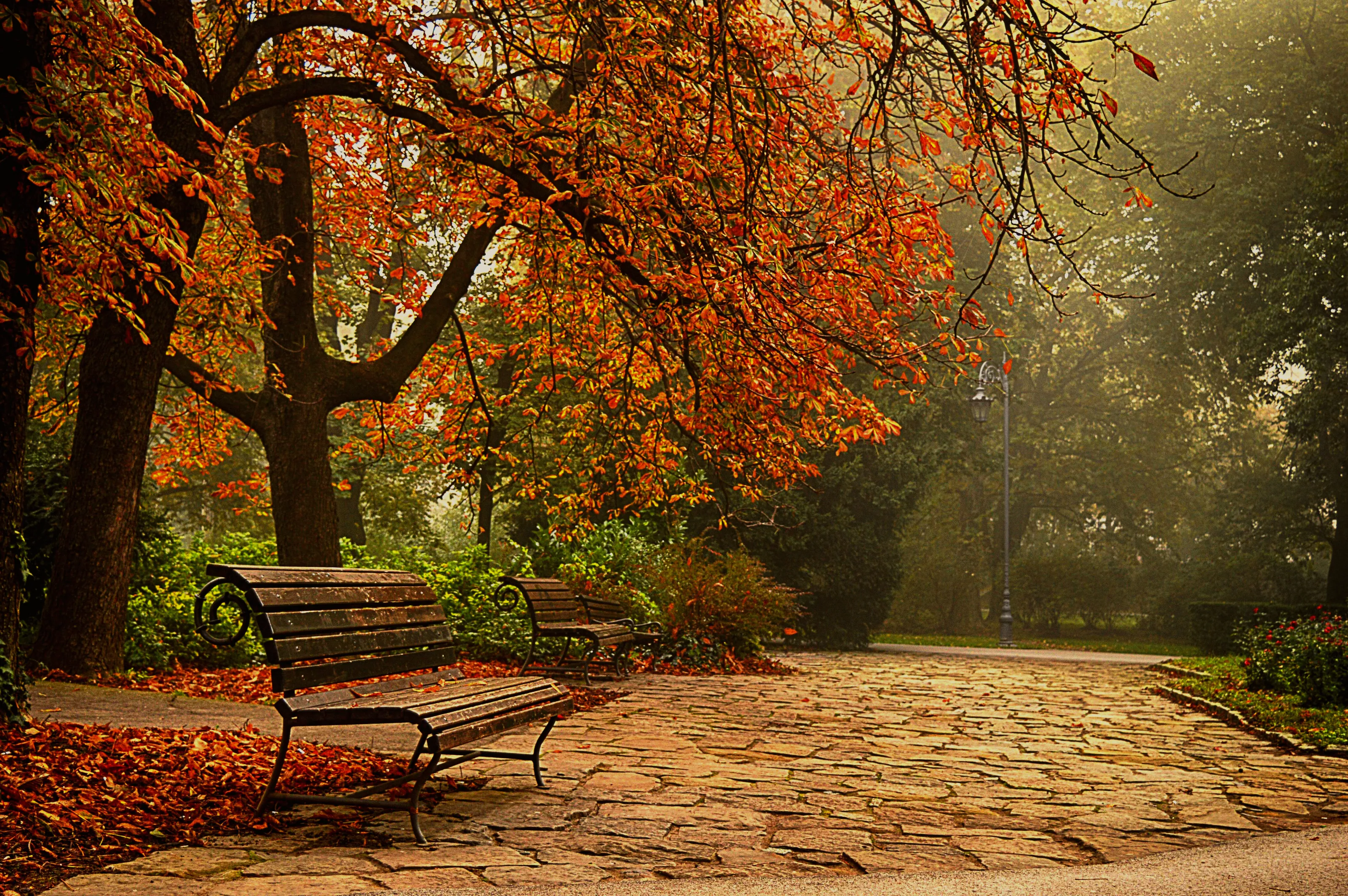 City park
