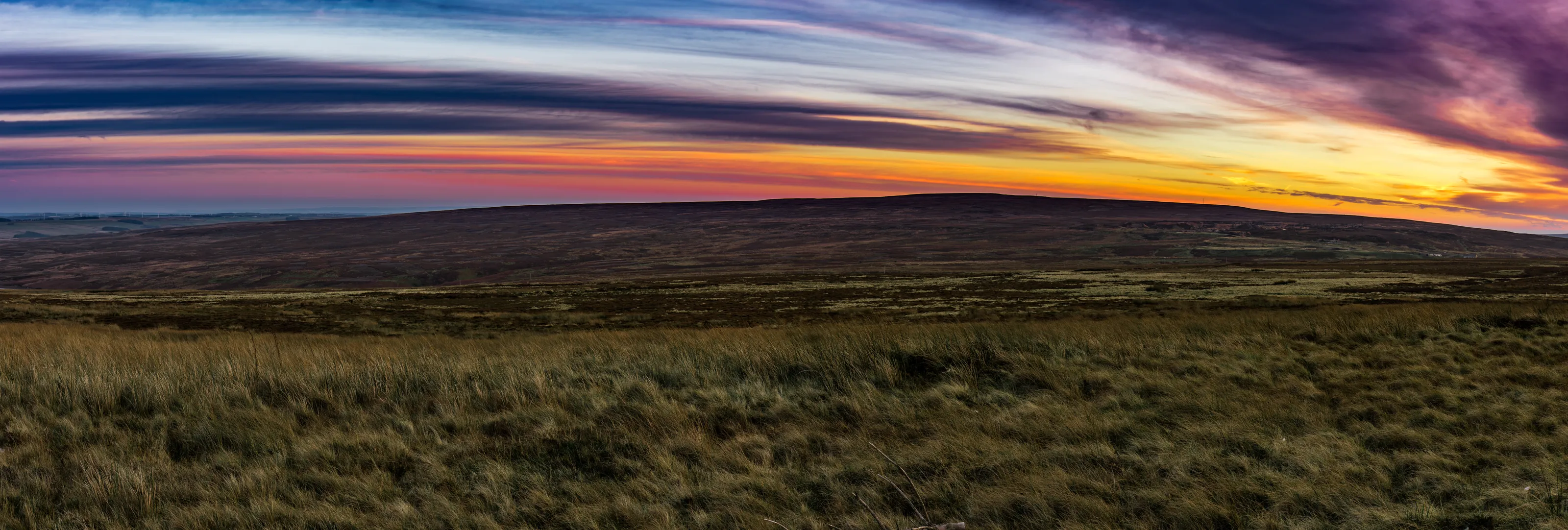 Muggleswick Common