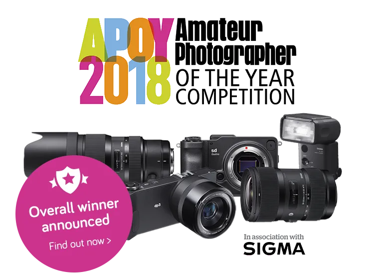 APOY18 Ad-Winners