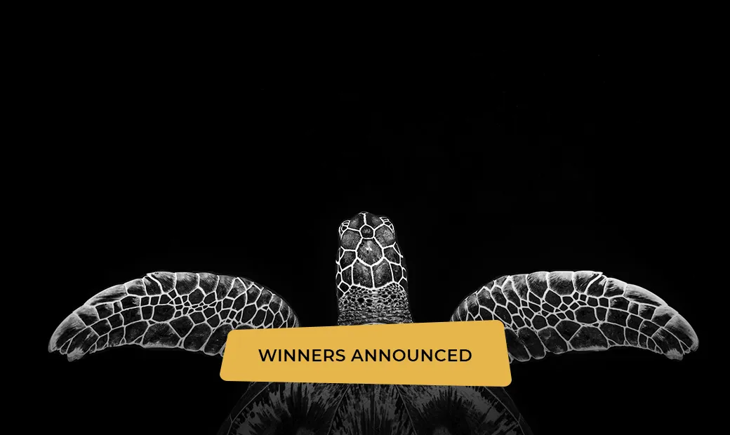 PA2F23 Square Ad-WINNERS